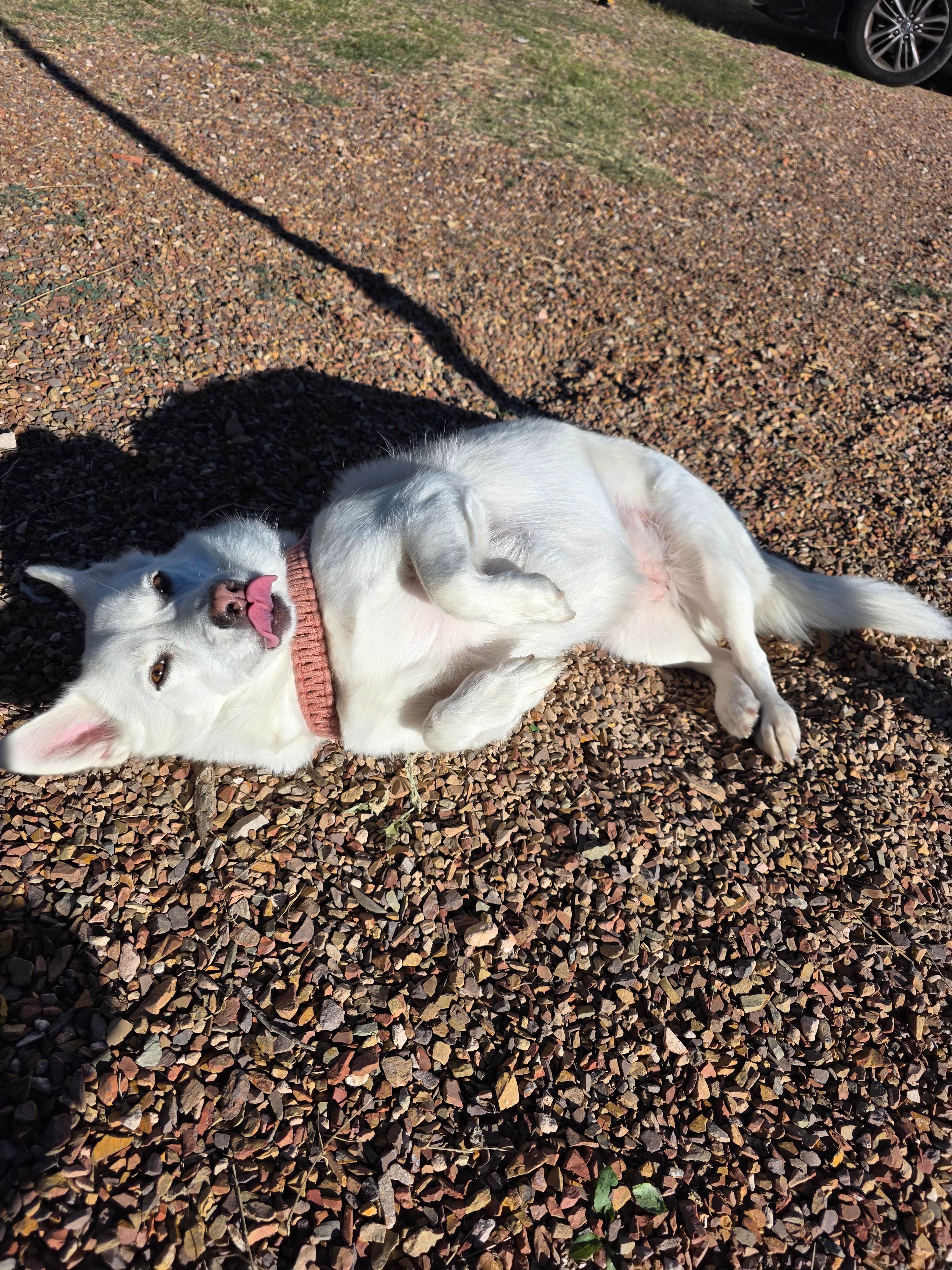 “Roble Perdido” private RV site