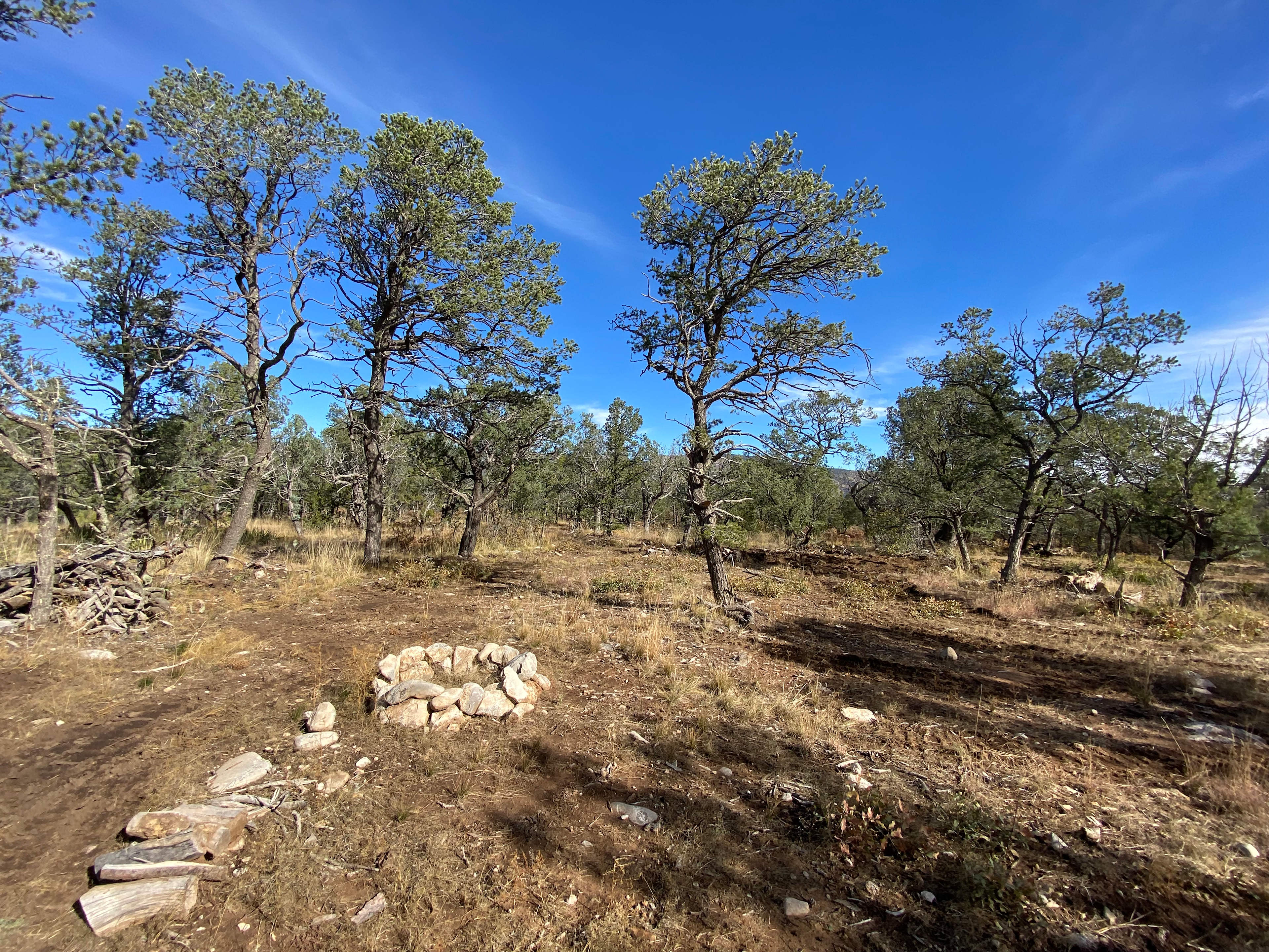 Timberwood Glamp N Camp