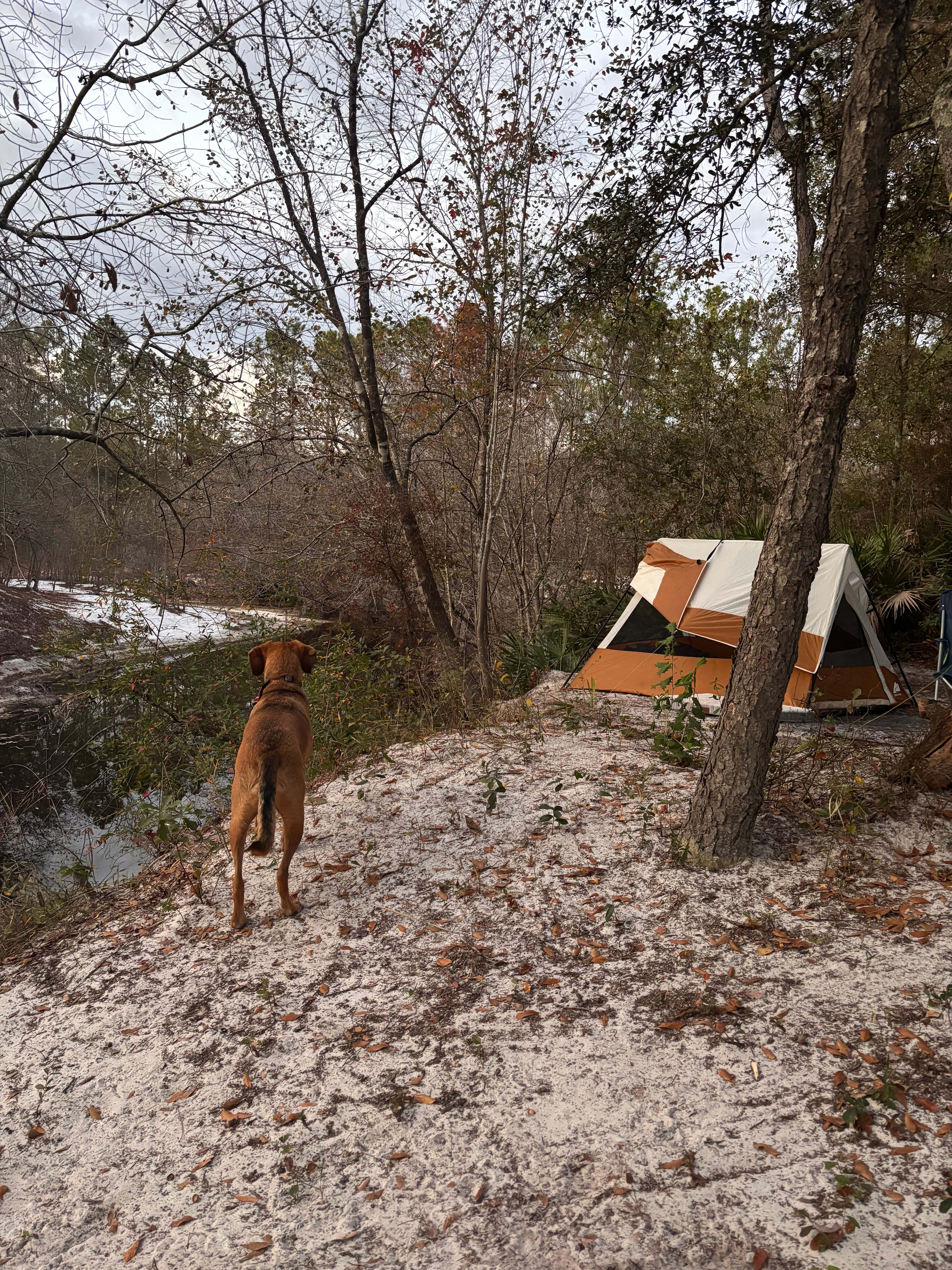 My set up on one of the two primitive sites 