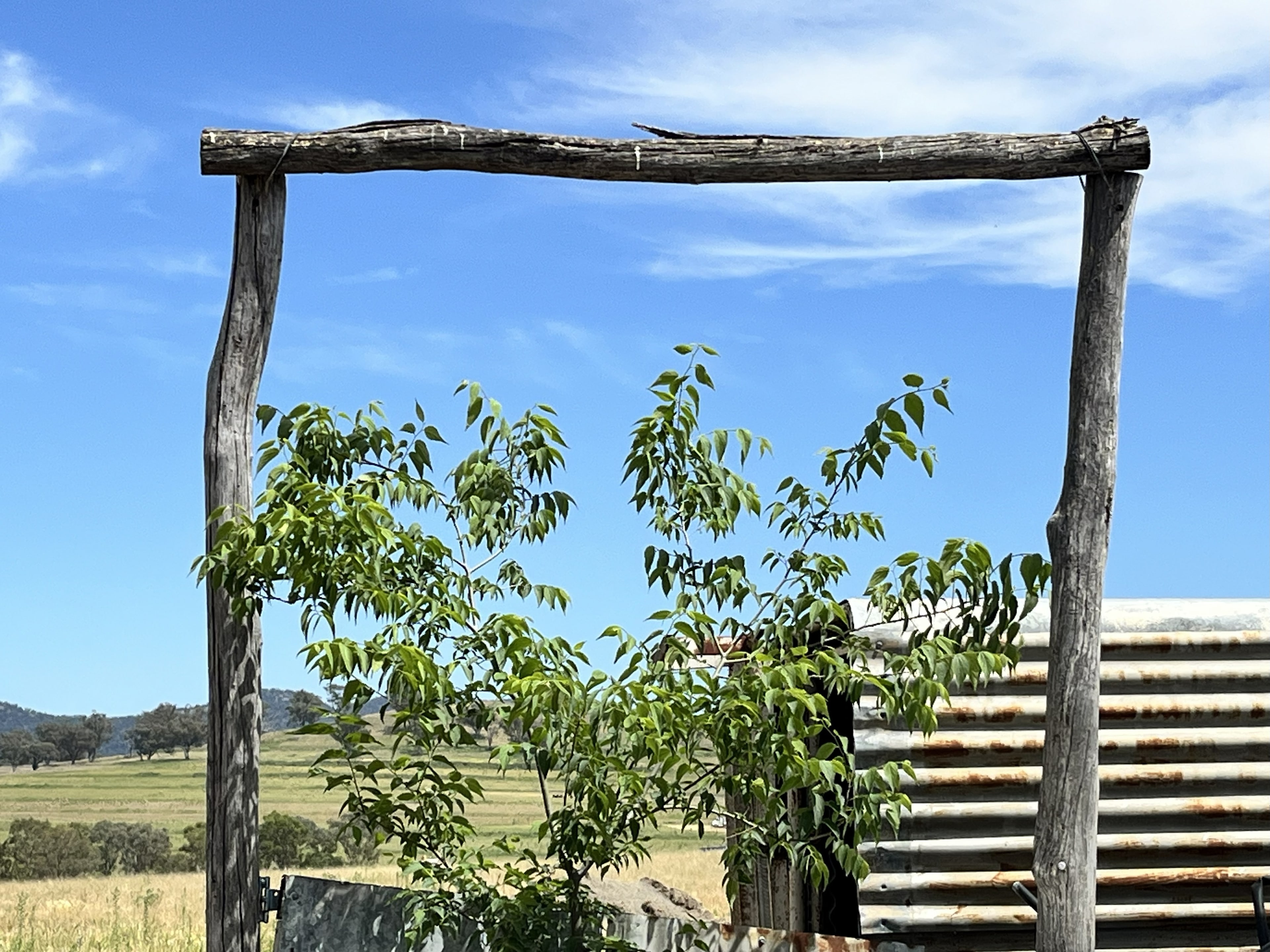 Ridleys Farm Stay