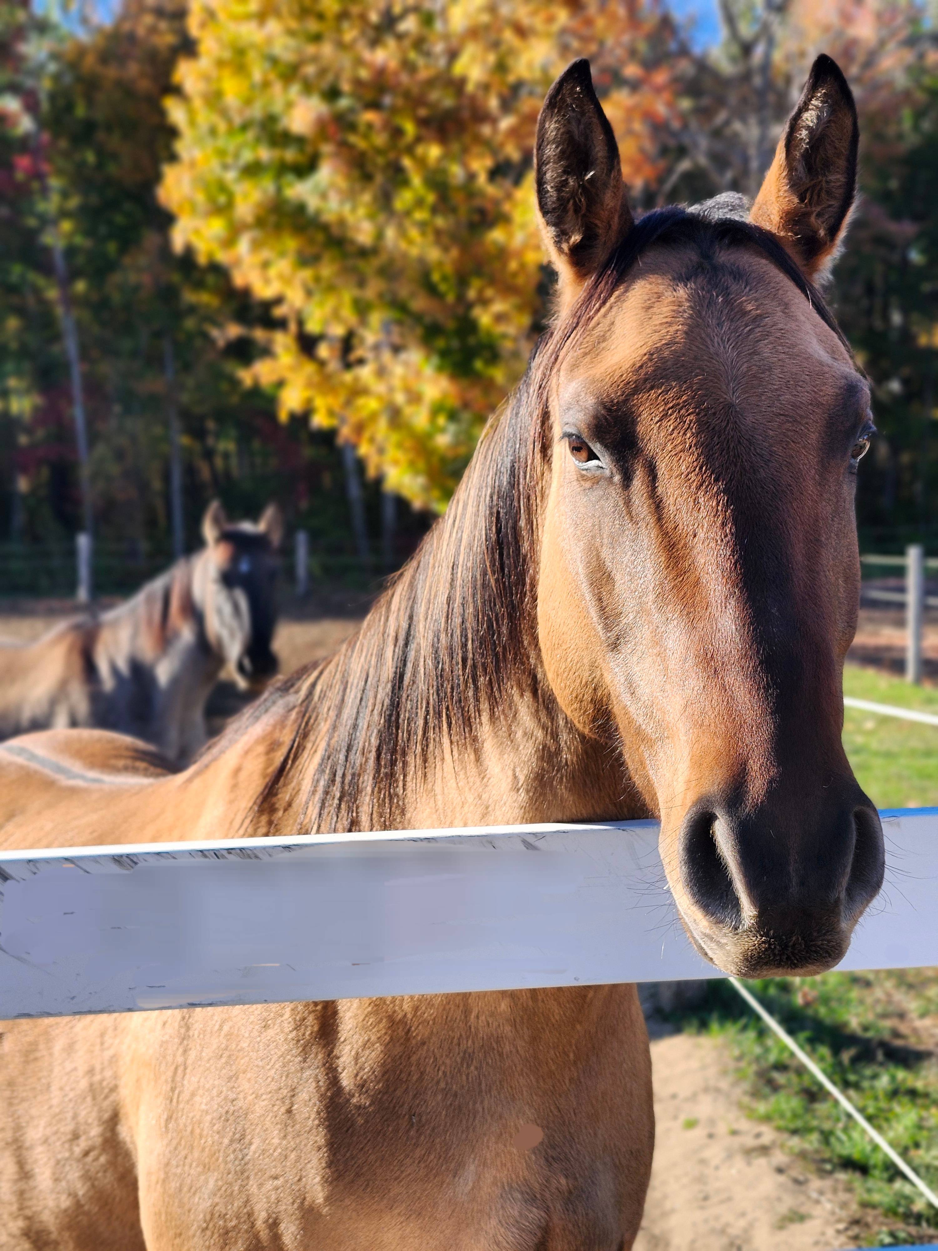 La Cabine De La Sablière