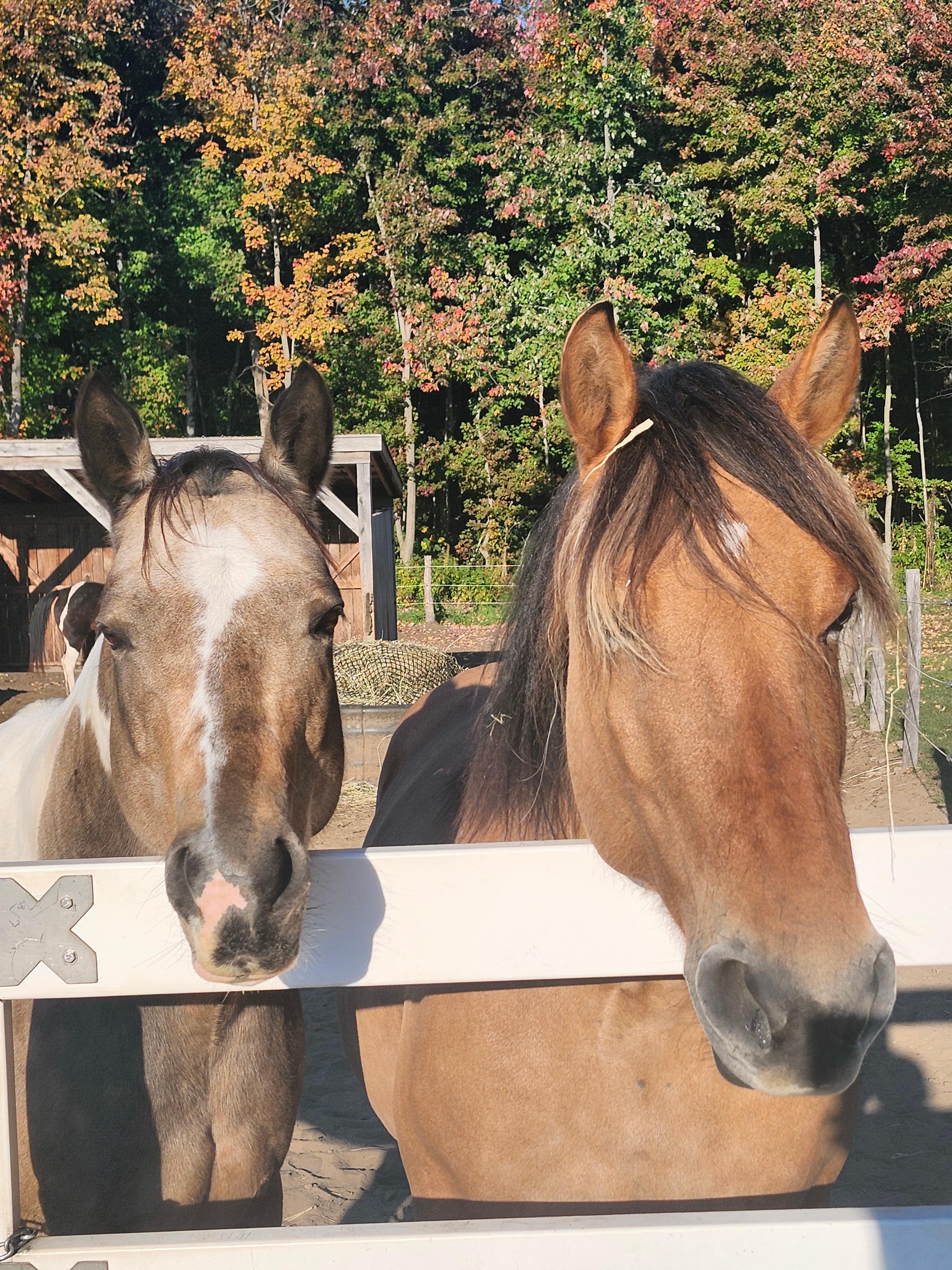 La Cabine De La Sablière