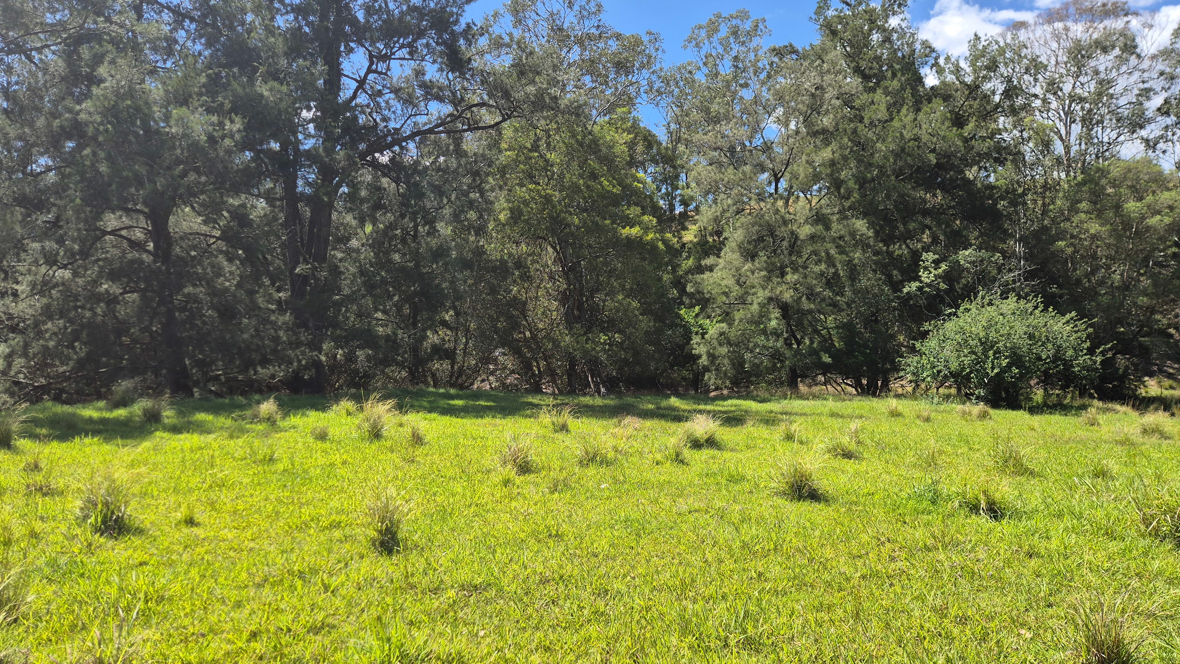 Riverbend Retreat Solo camping