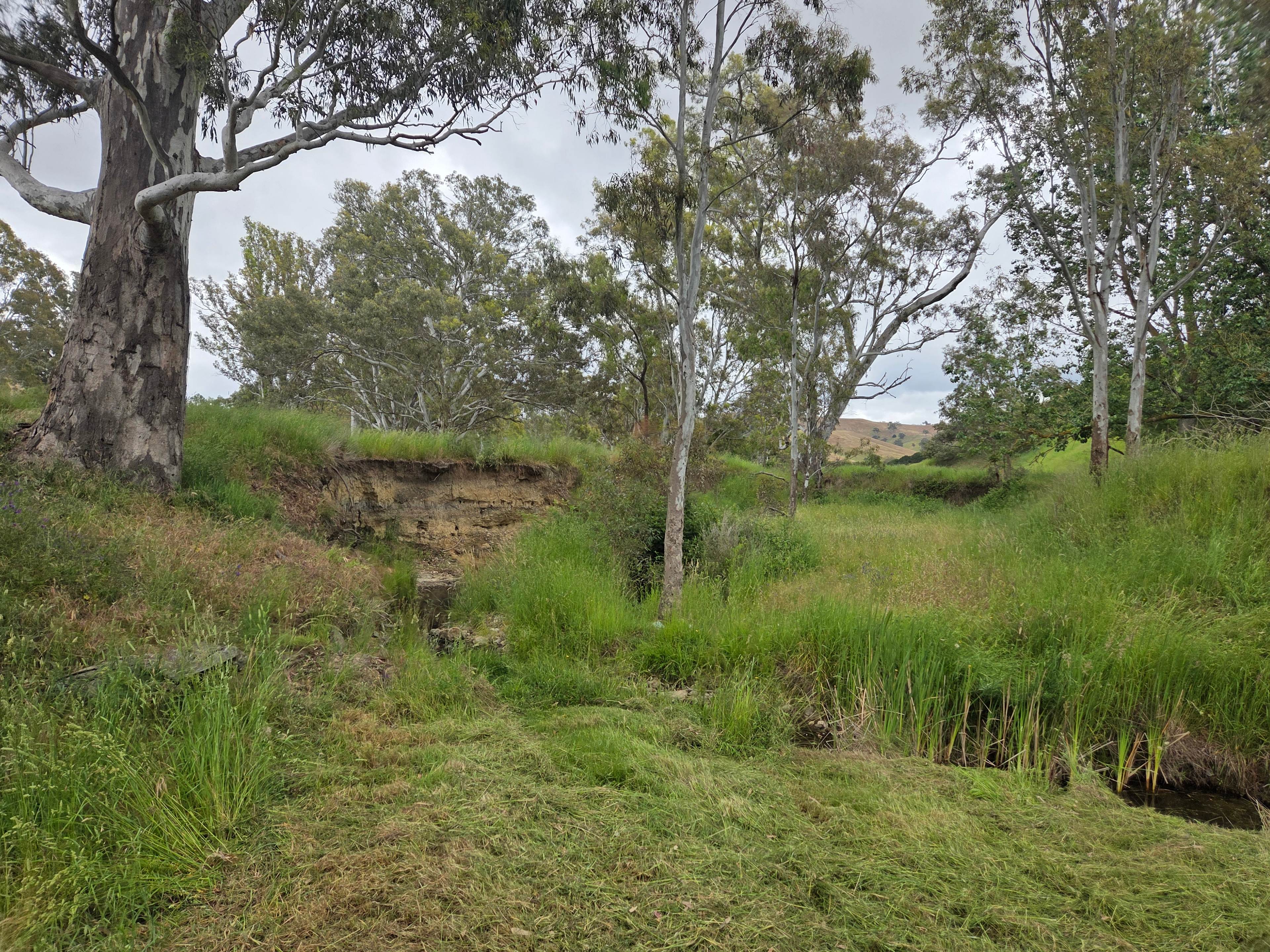Stoney Creek Sanctuary