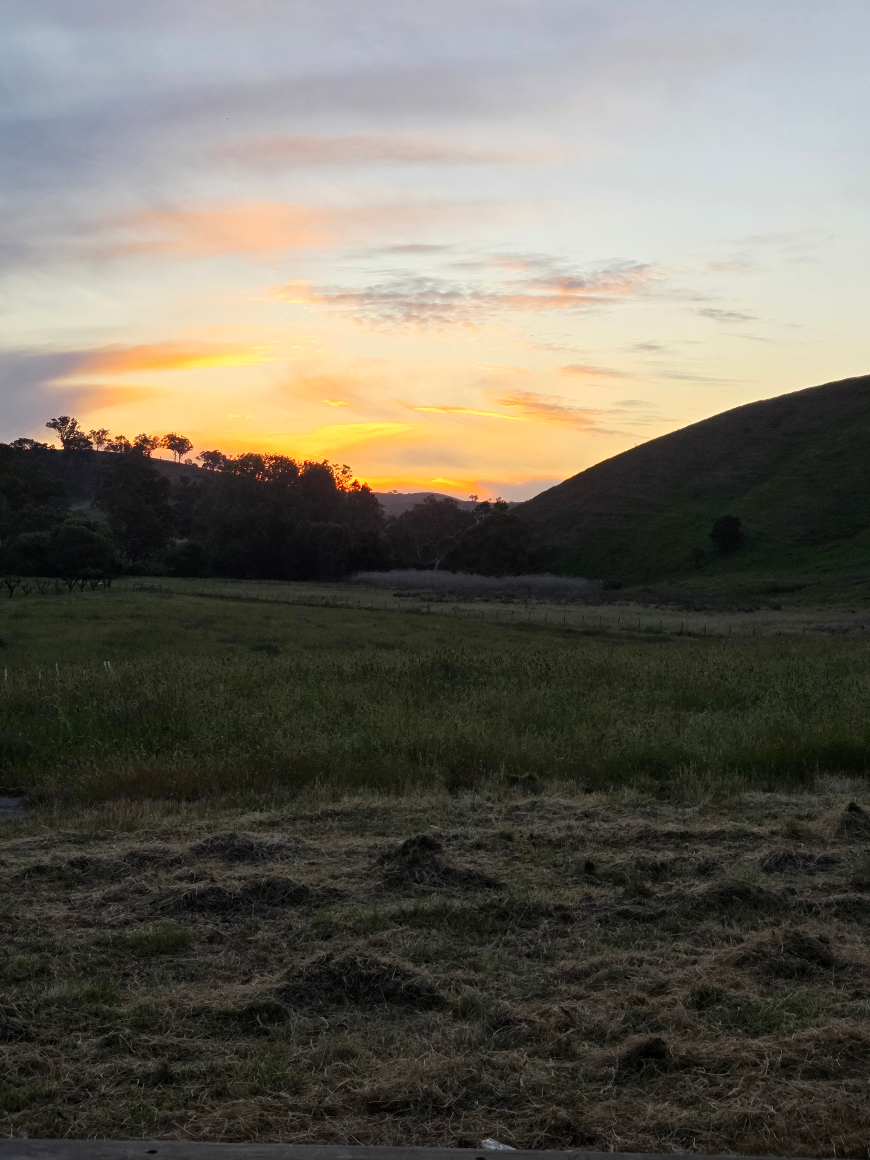 Stoney Creek Sanctuary