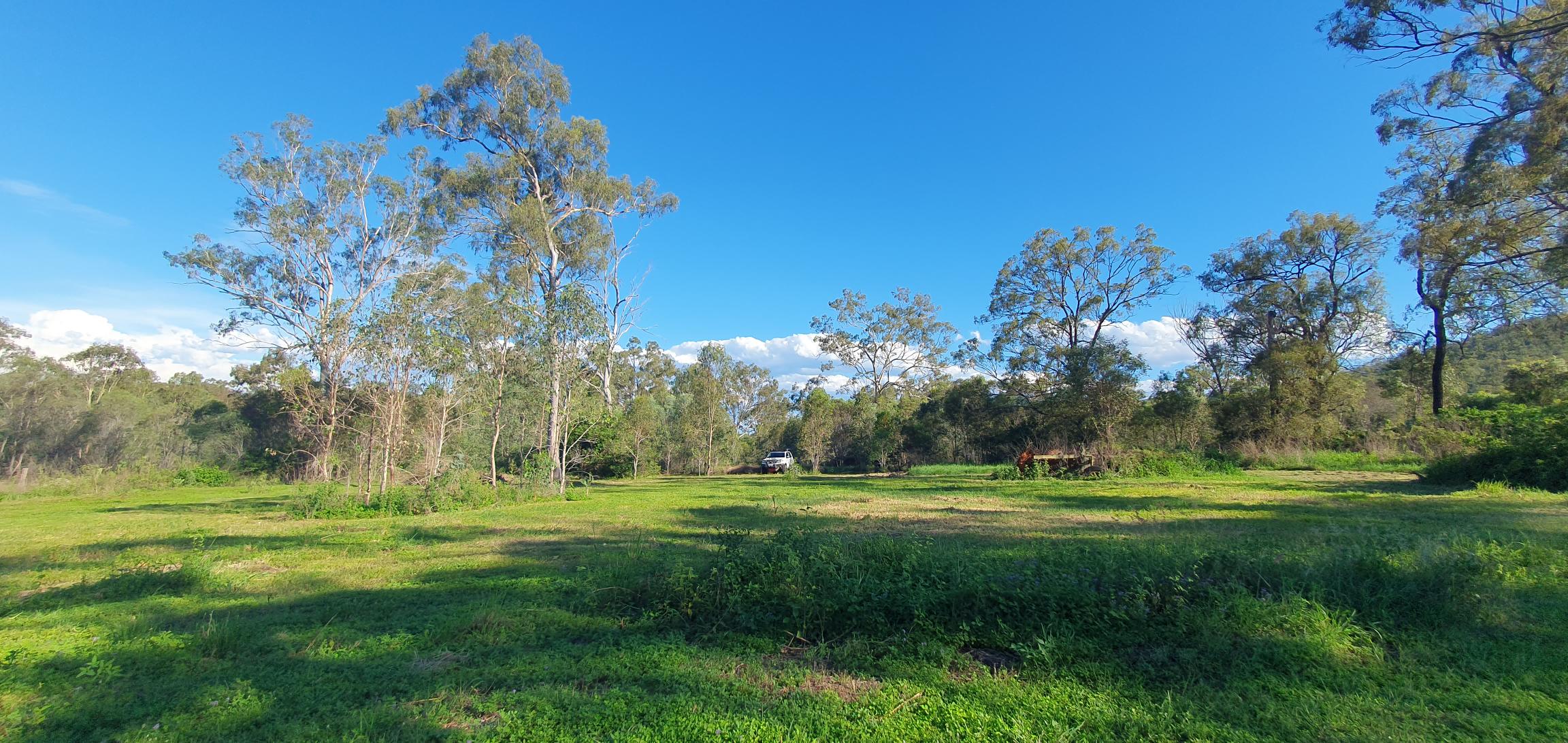 Honkins Travellers Rest