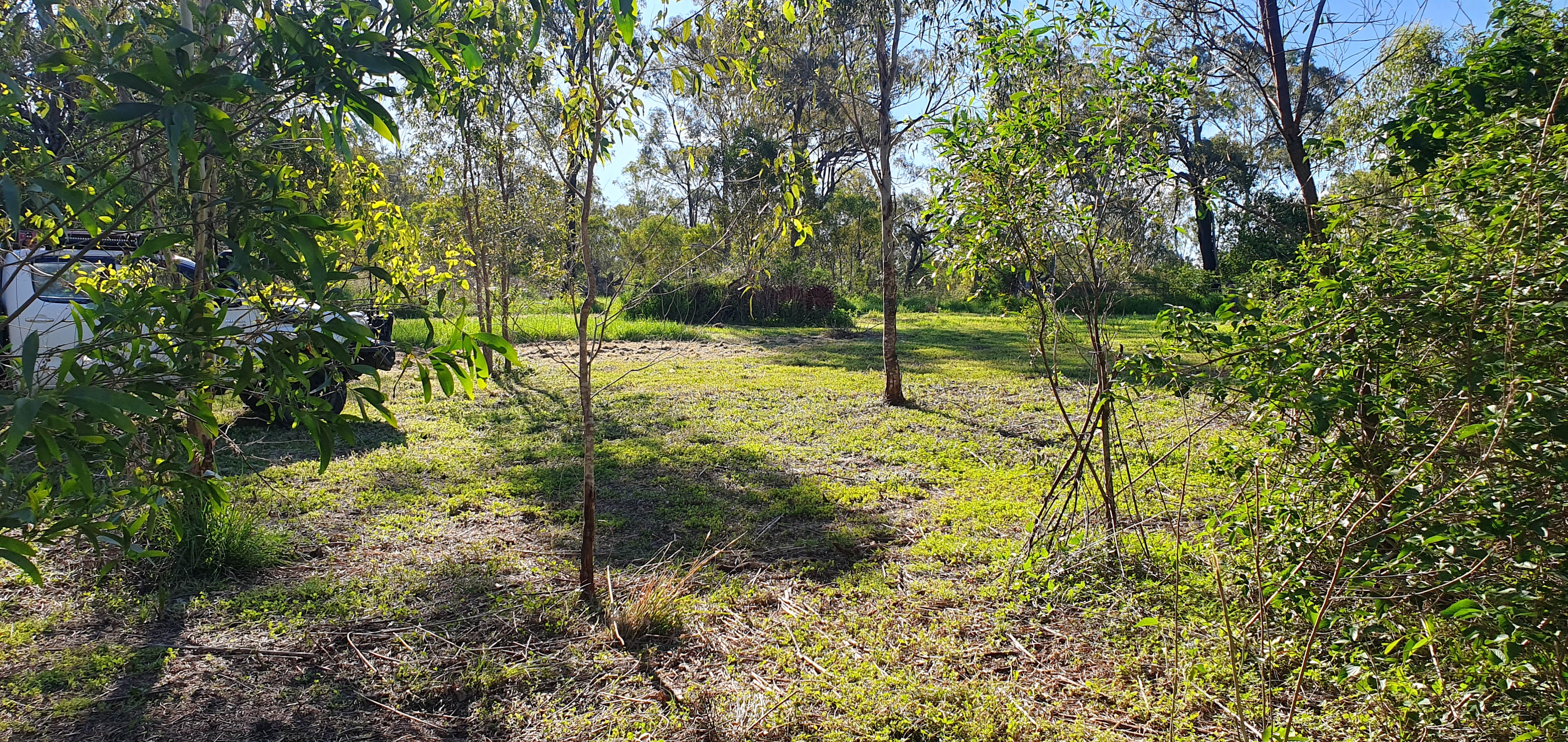 Honkins Travellers Rest