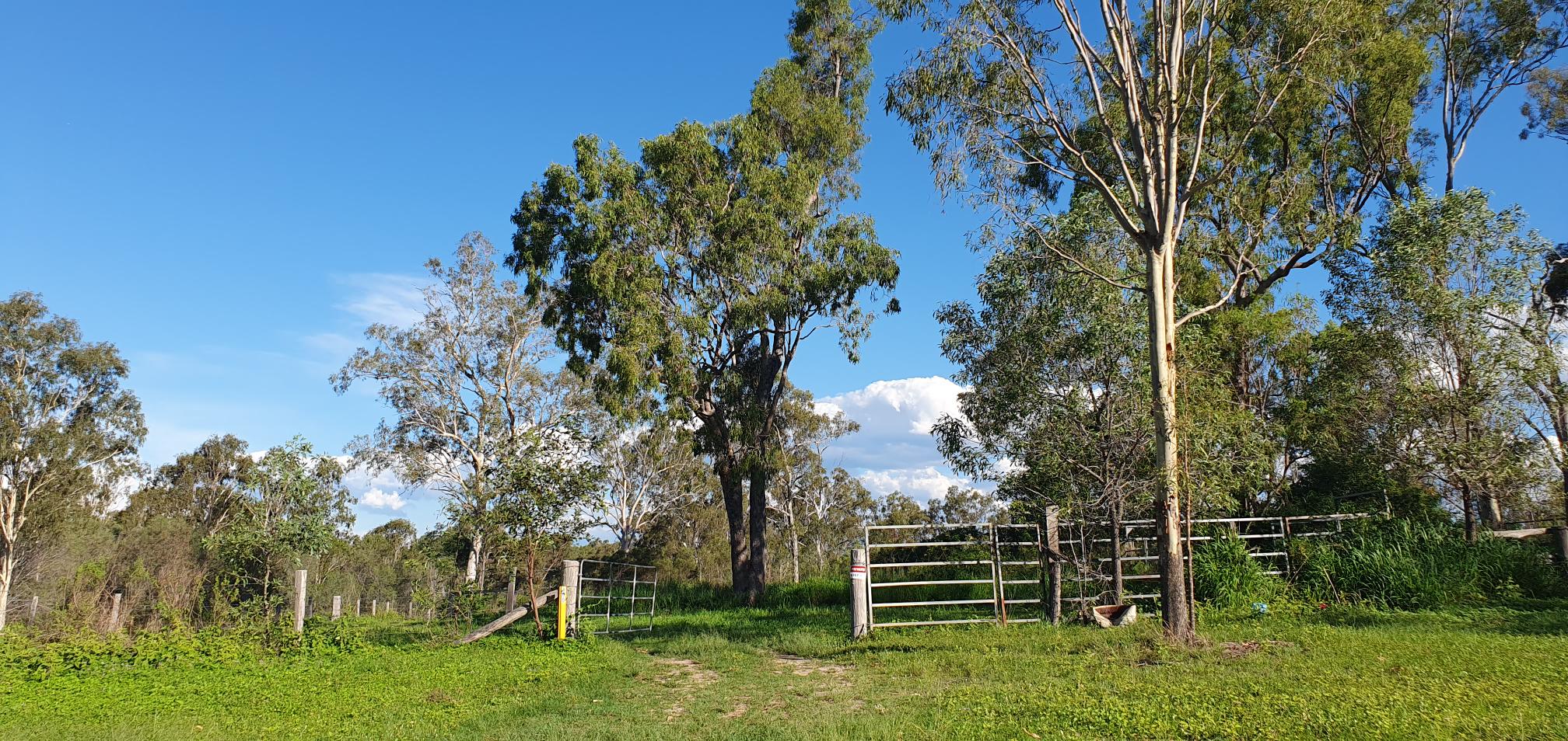 Honkins Travellers Rest