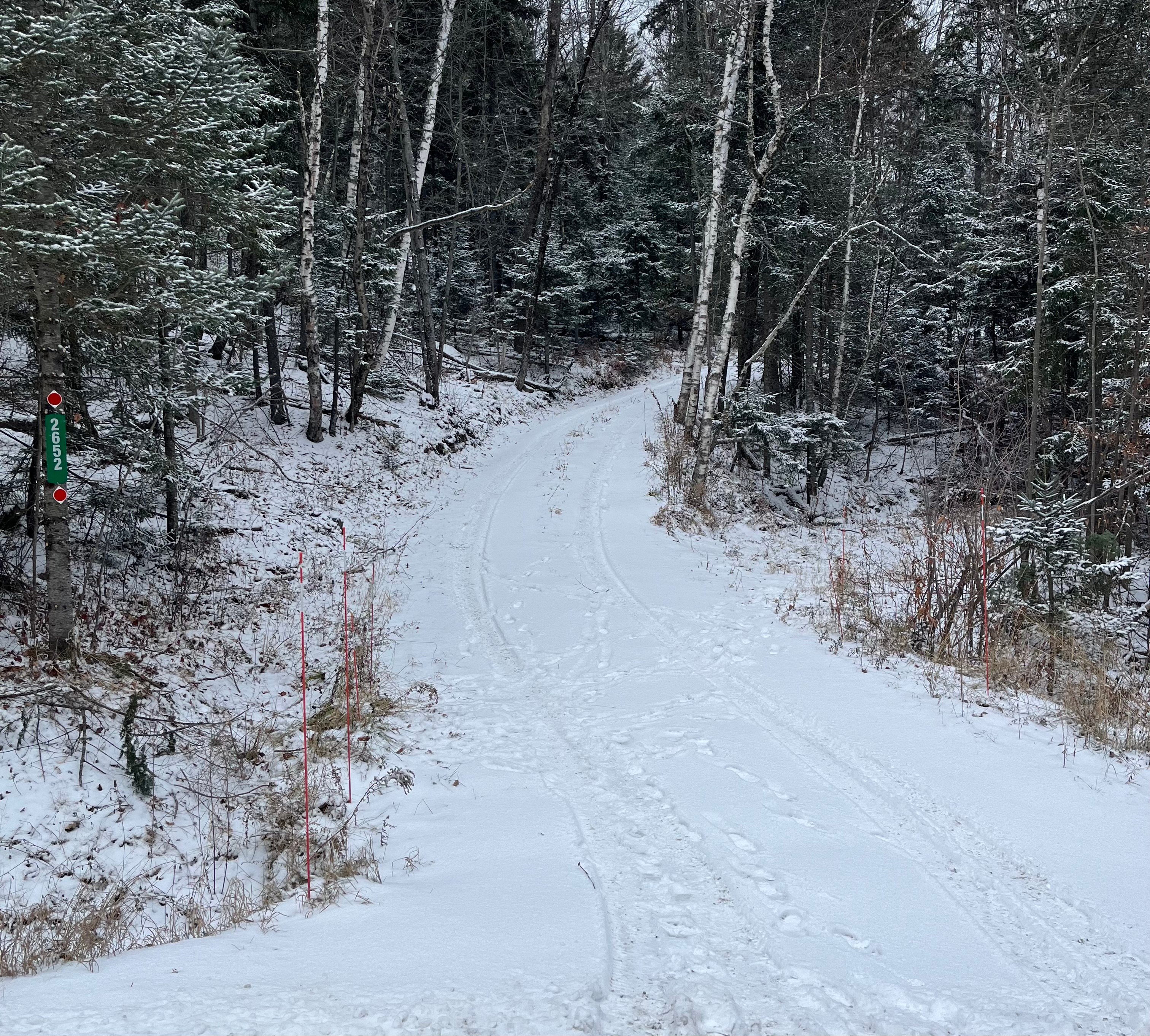 Driveway view from the road