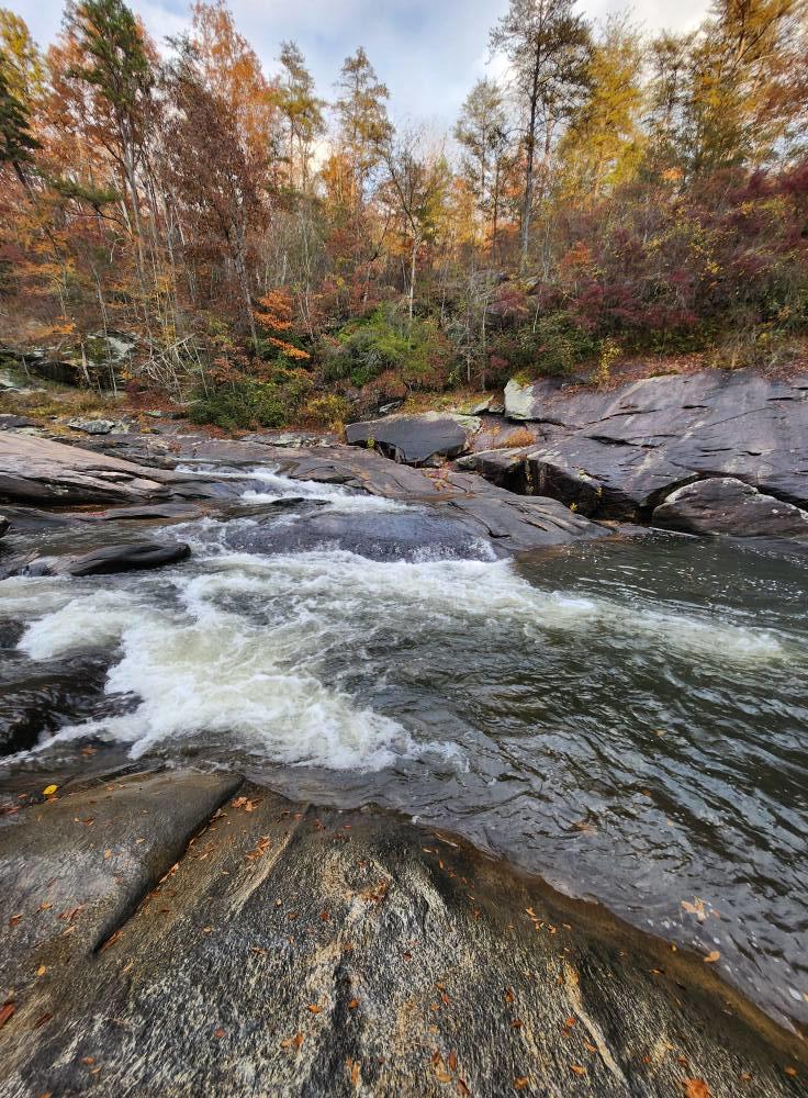 Camp Tails and Trails Pet Friendly
