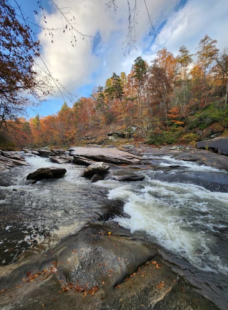 Camp Tails and Trails Pet Friendly