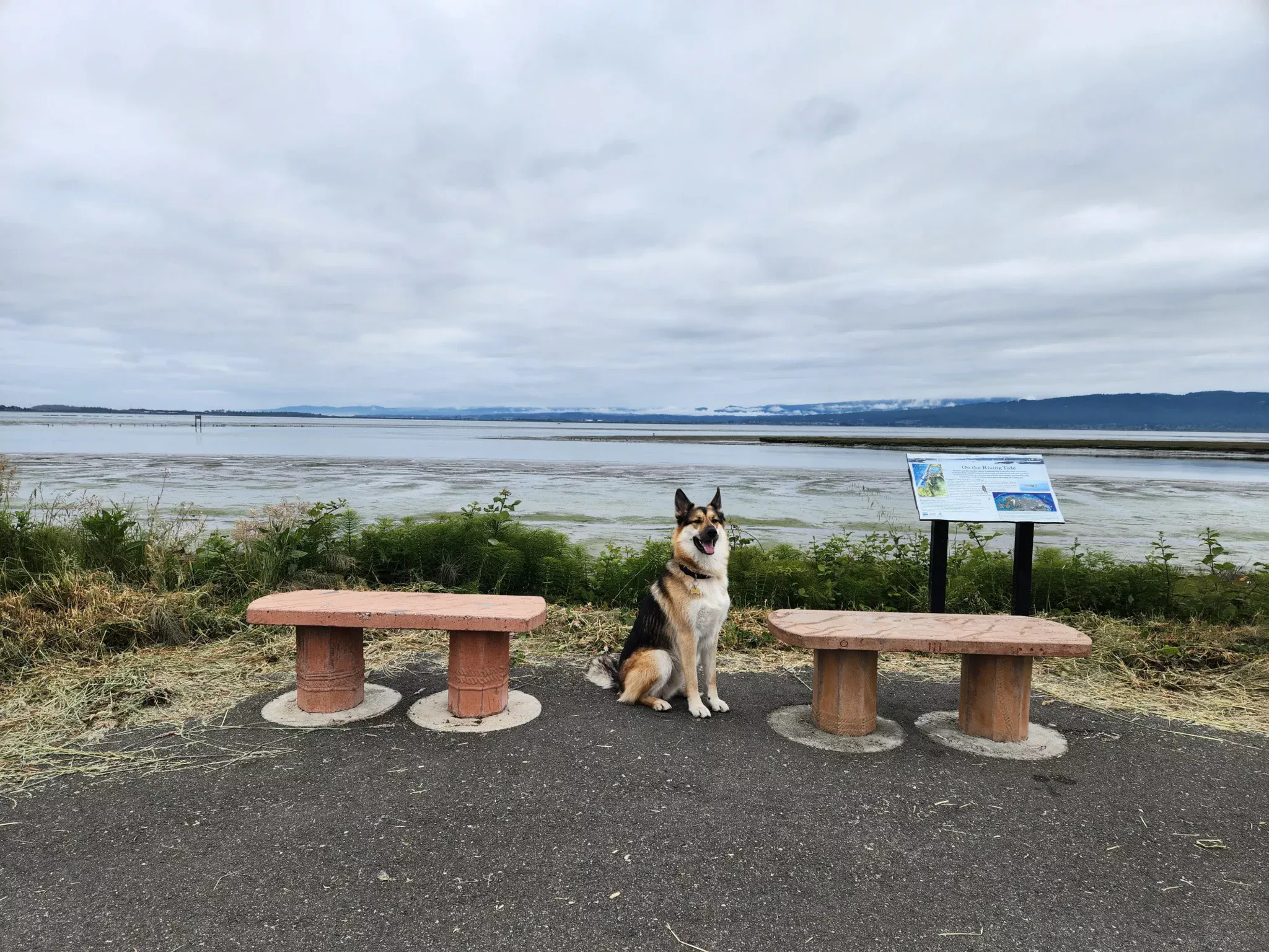 Coastal Pines RV Park