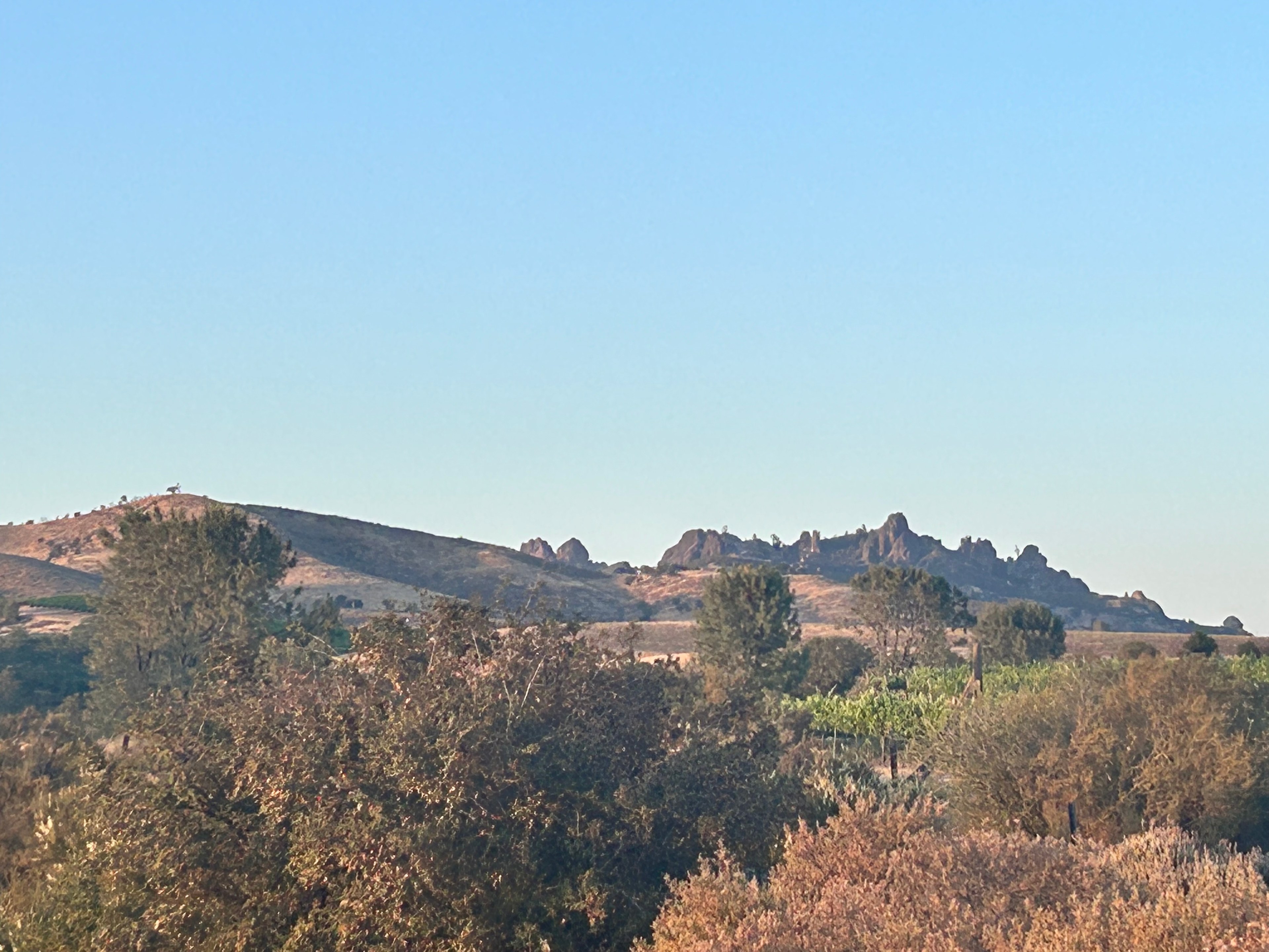 Pinnacles National Park Camping