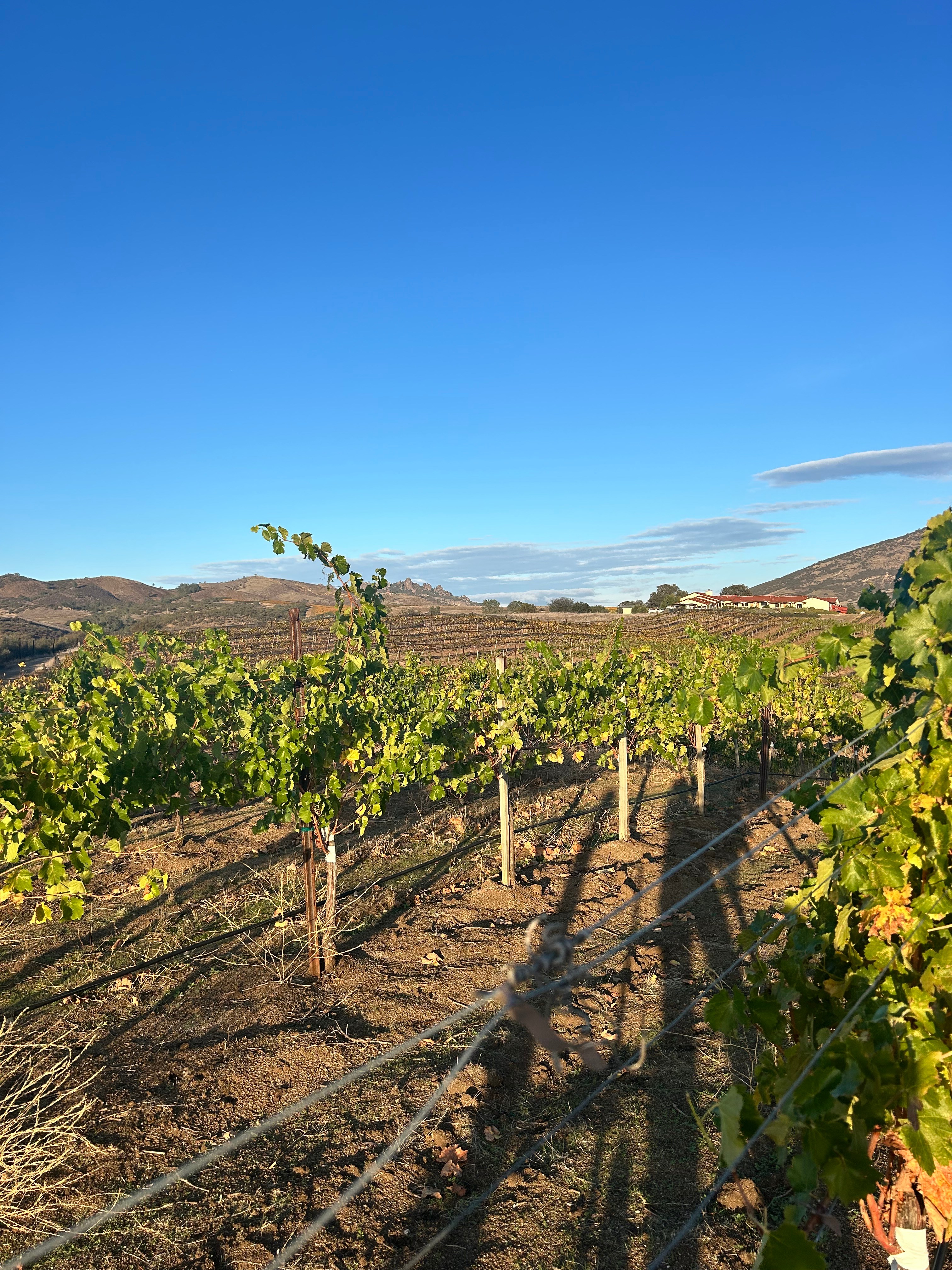 Two miles from Pinnacles Nat. Park