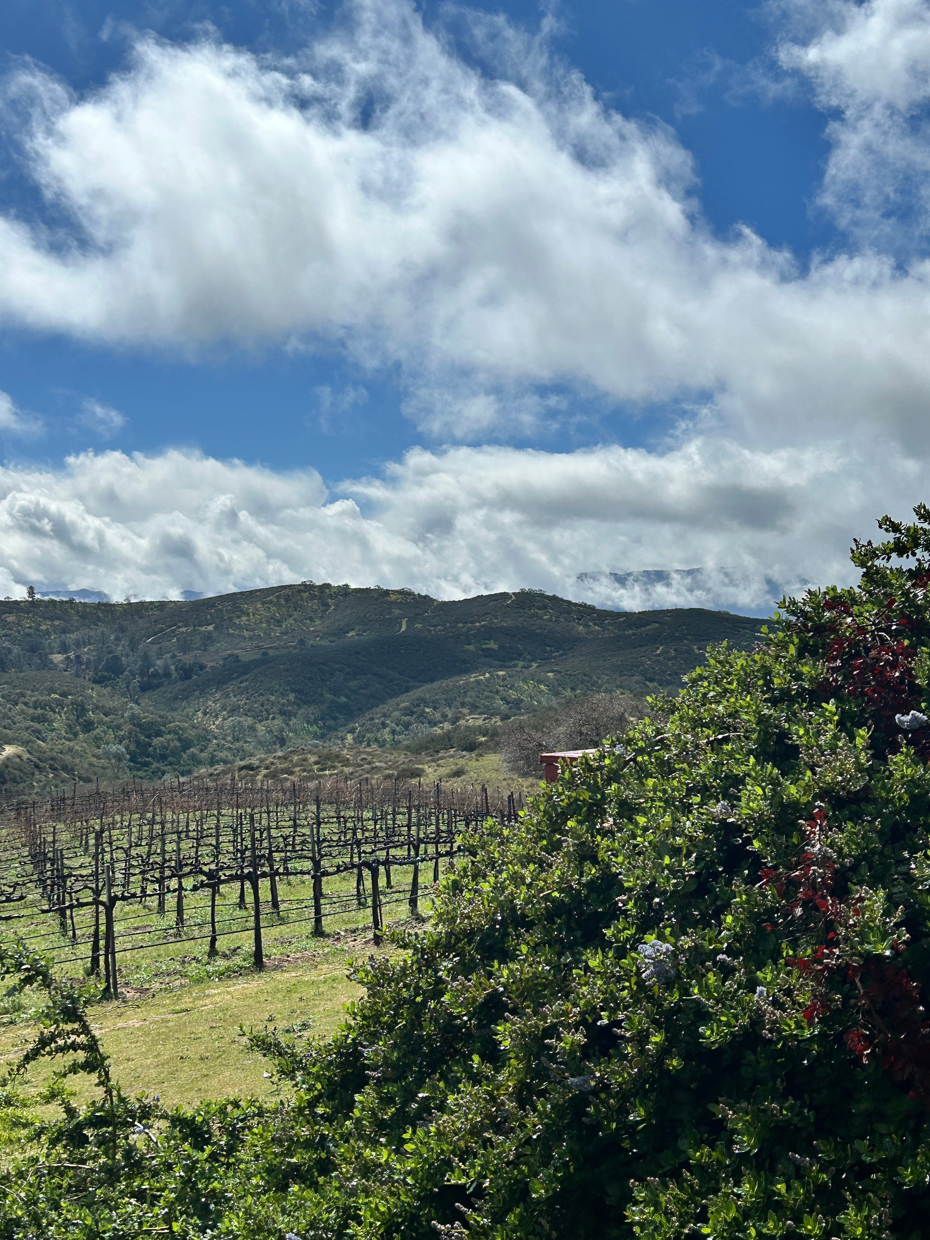 Pinnacles National Park Camping