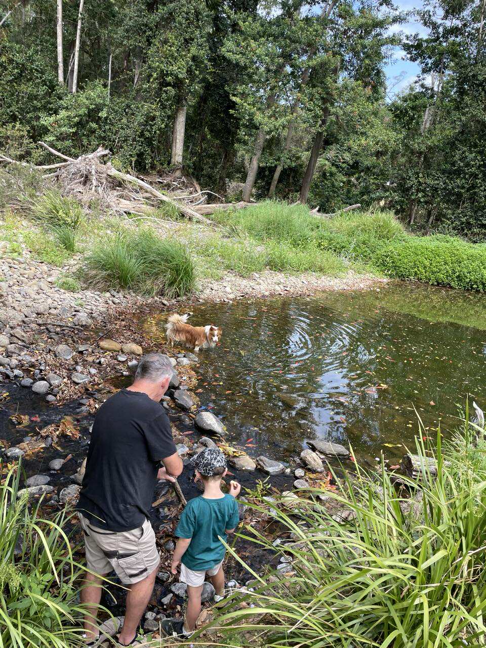 Wongawallan Creek Estate