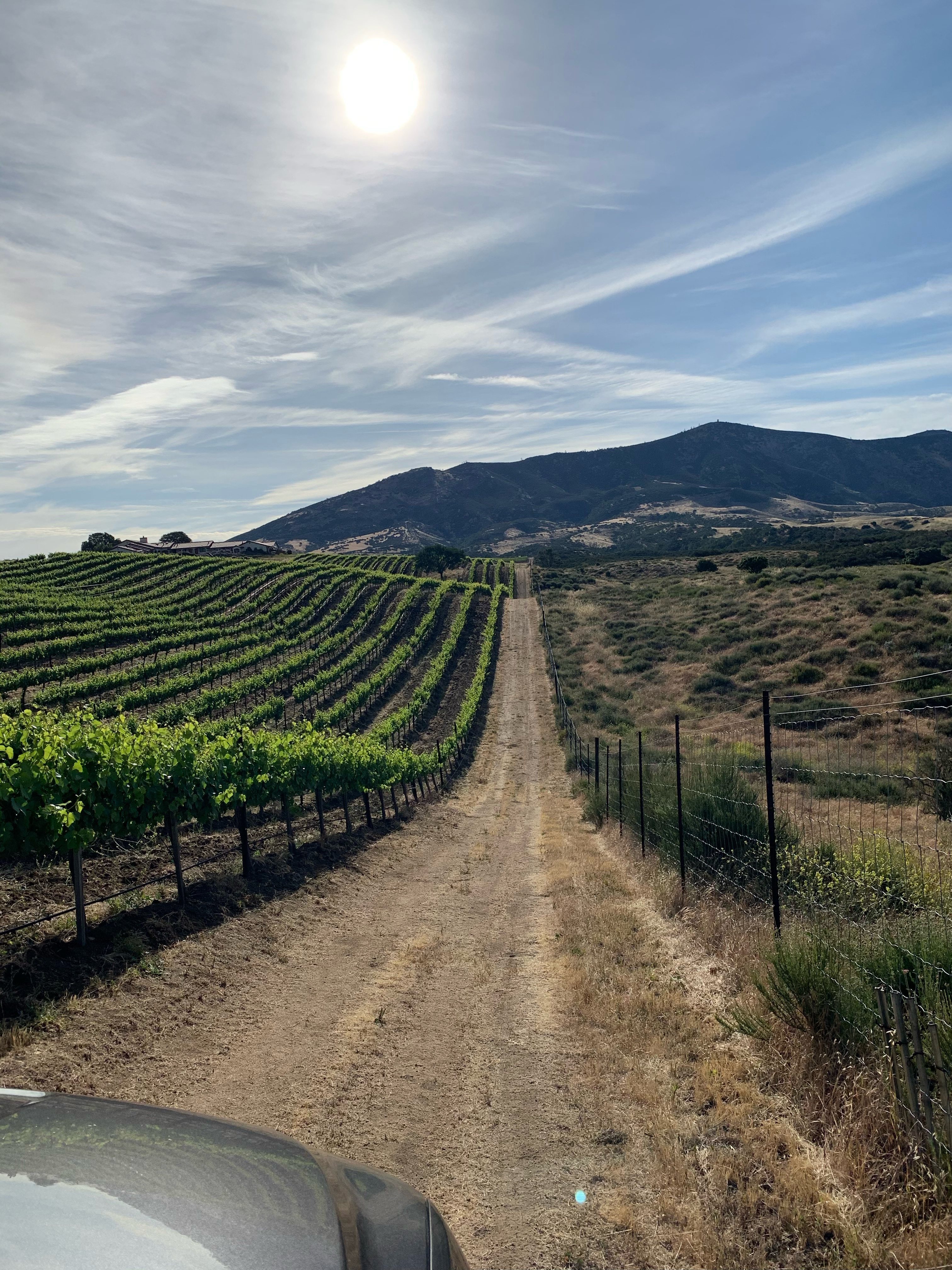 Two miles from Pinnacles Nat. Park