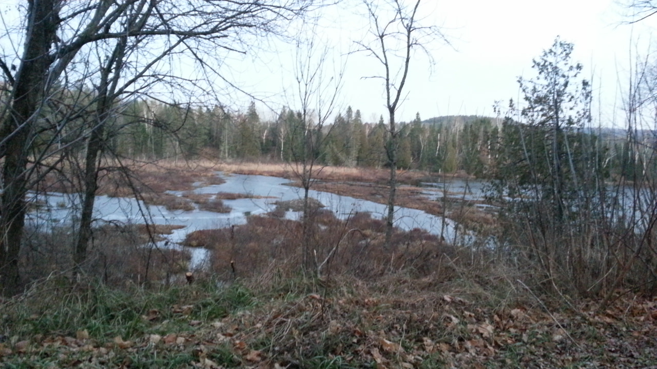 Halverston Lake, 100% Privacy