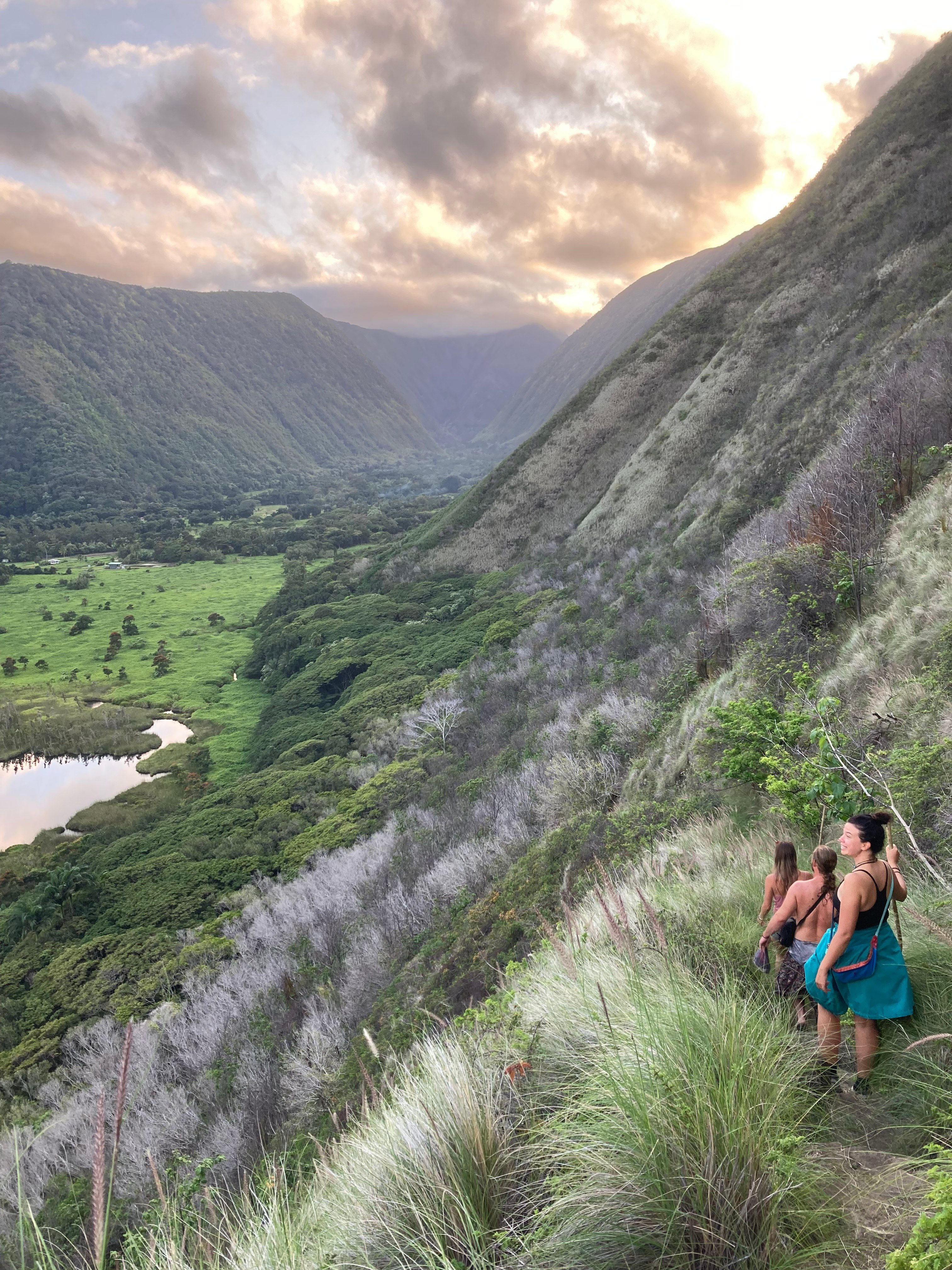 Waipio Farm To Table
