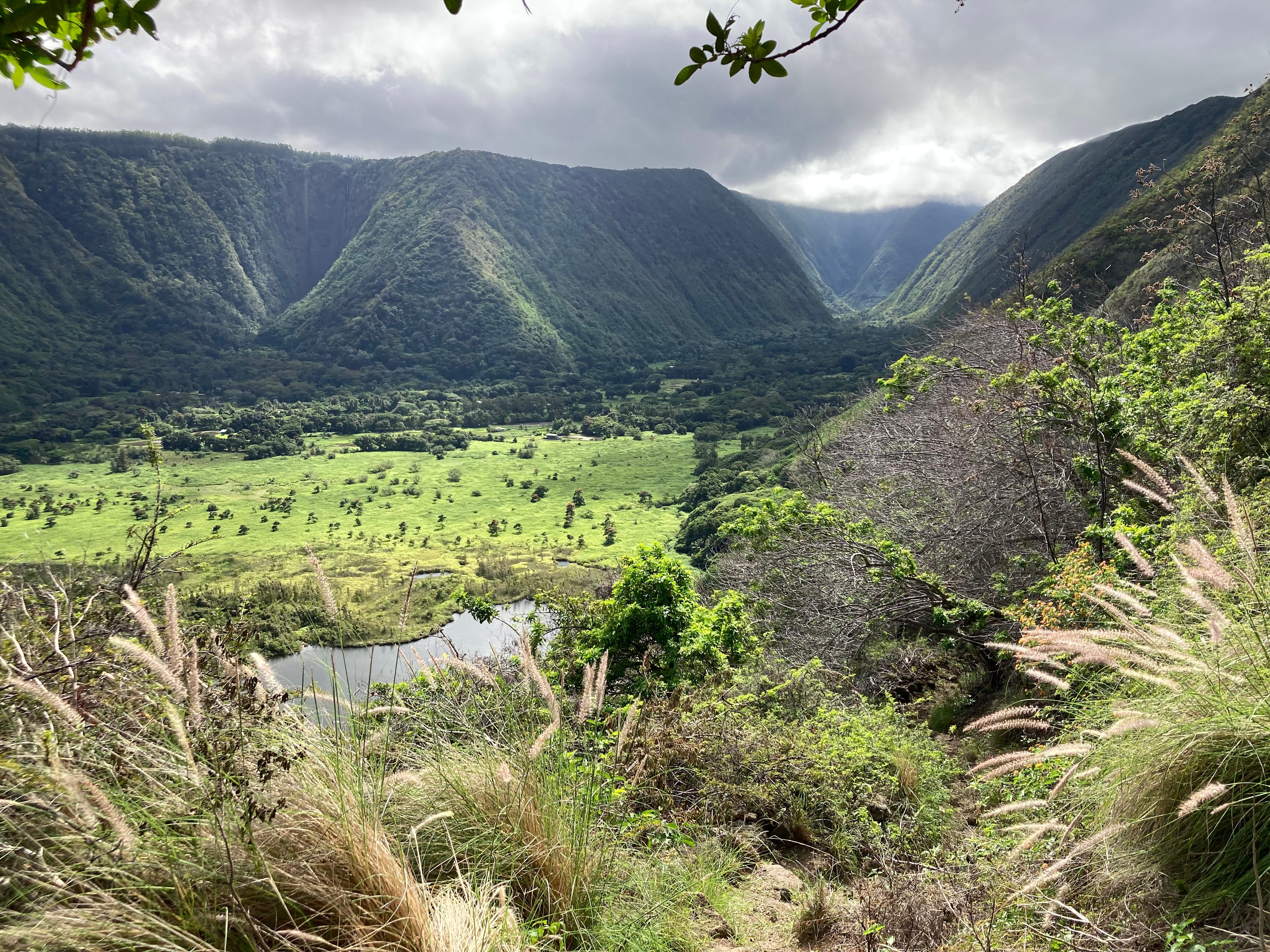 Waipio Farm To Table