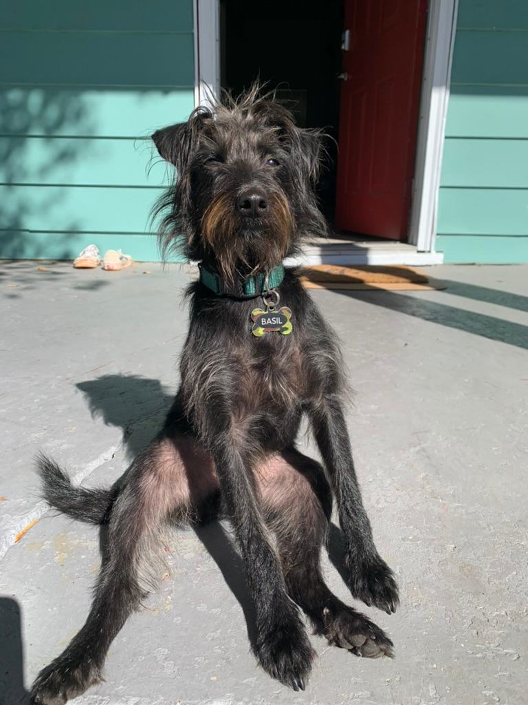 River Retreat🔥Hot tub-Wood Fired