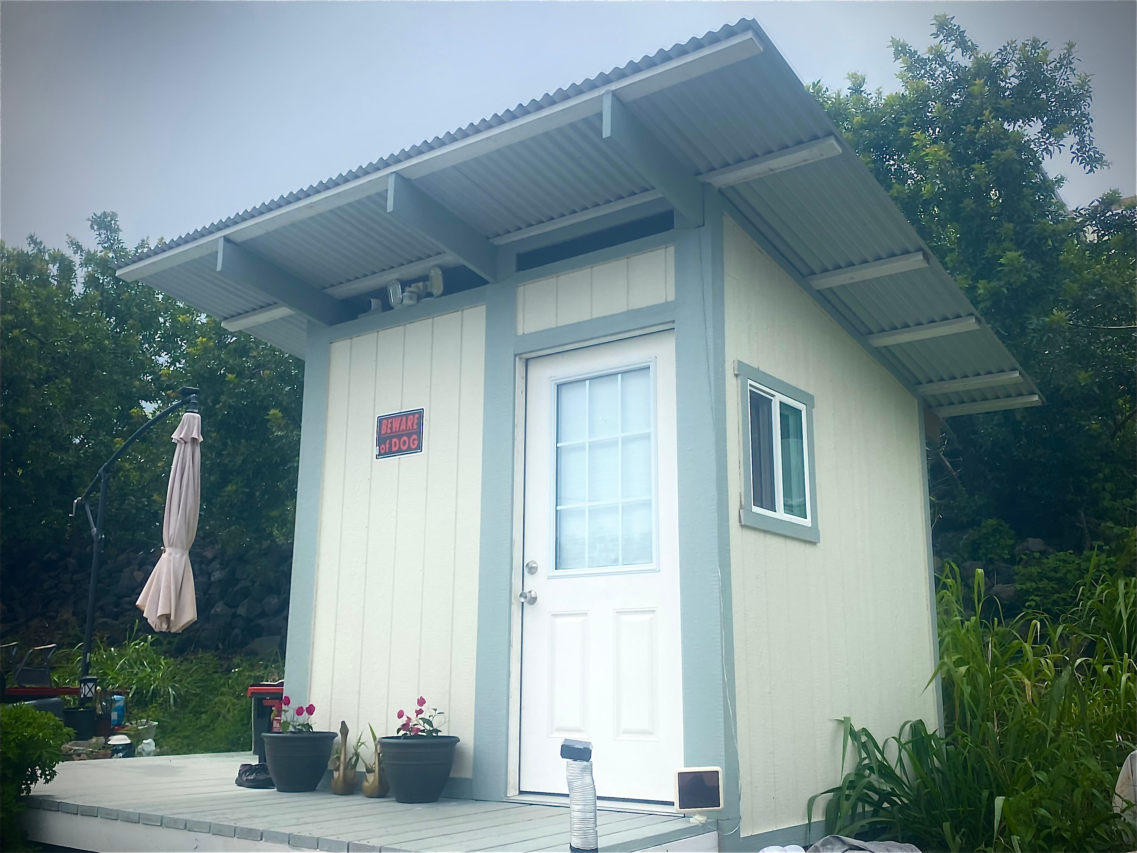 Papaya Patch at Sunrise Horizon