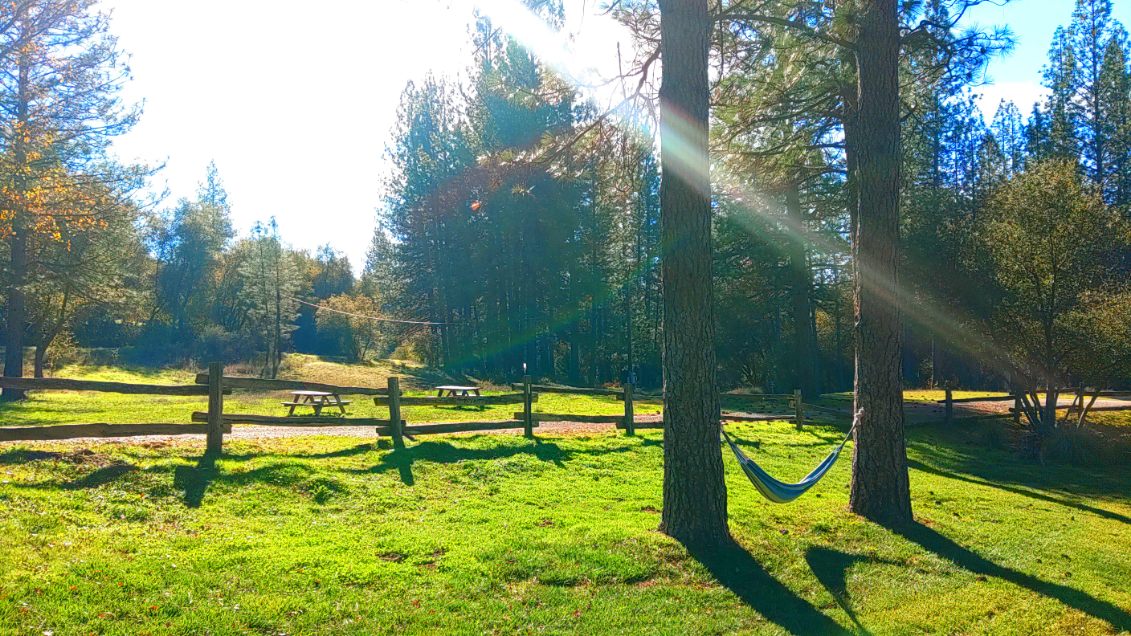 Zin Man (fka) Perry Creek winery!