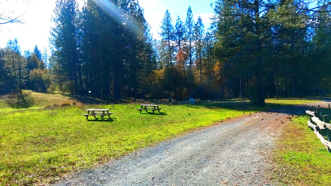 Home of the Zin Man!