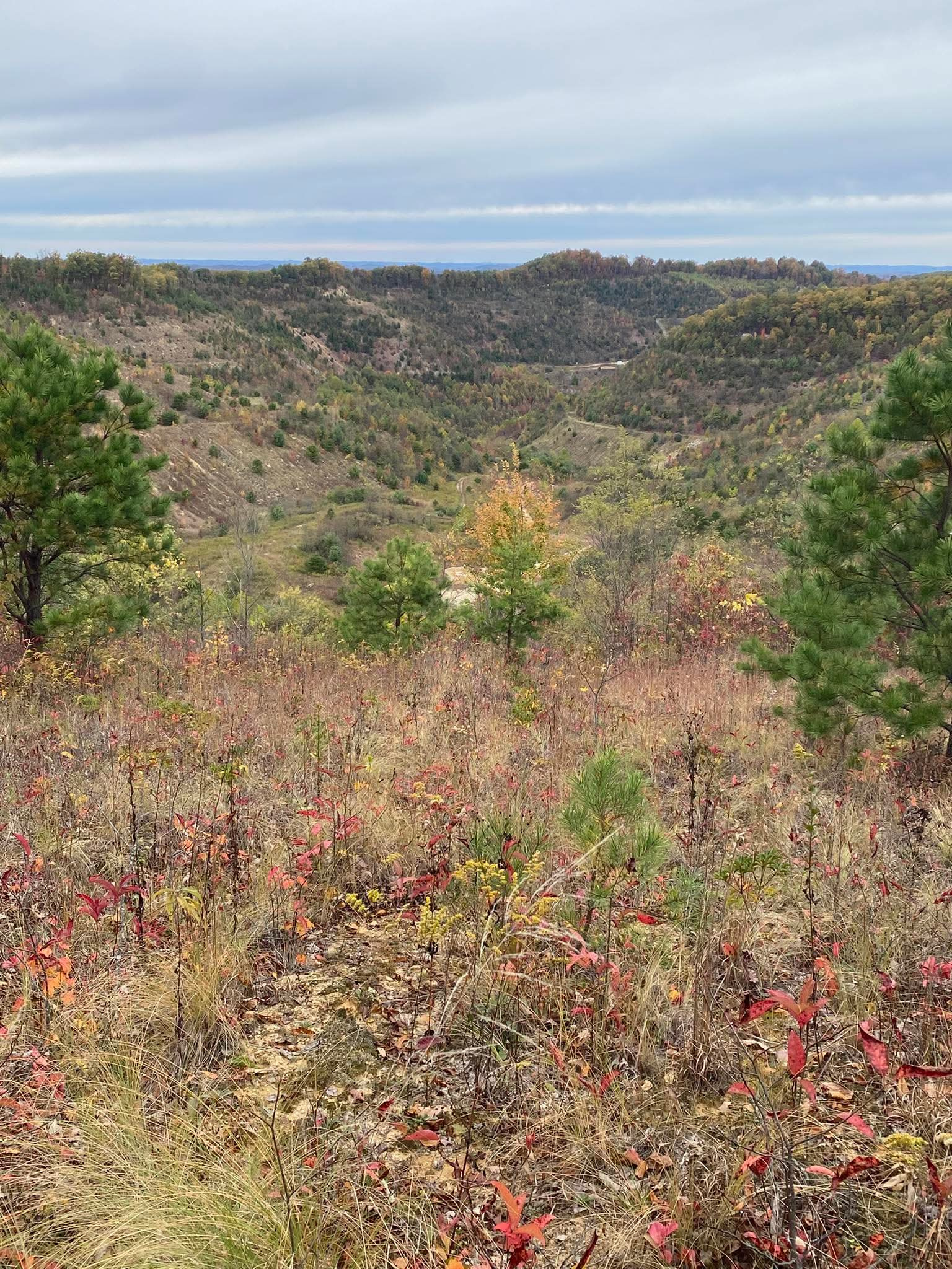 Wilmoth Mountain Retreat