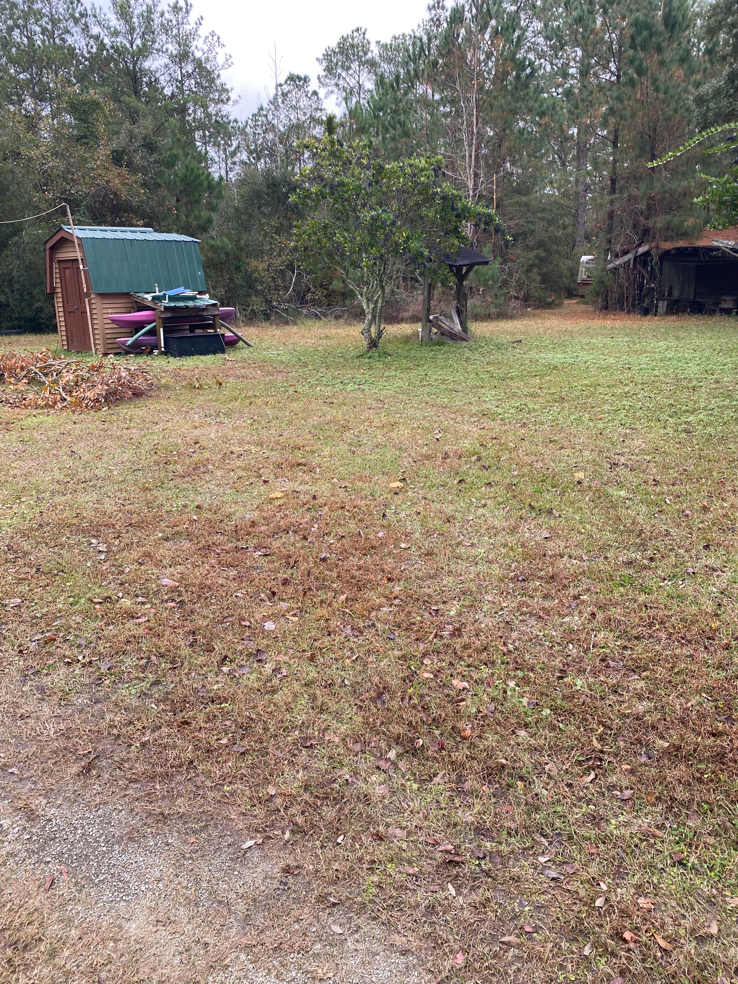 Holston Tent/RV Camping