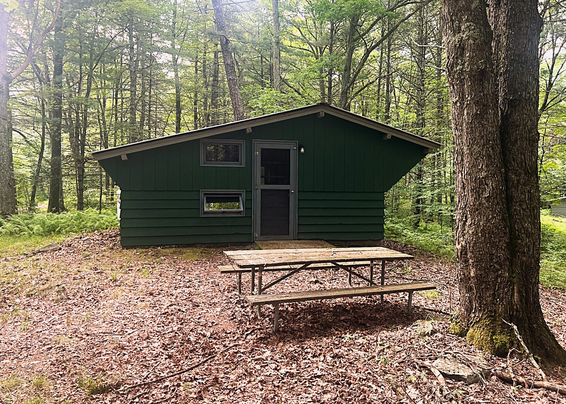 Ten Mile River: Lakeside Cabins