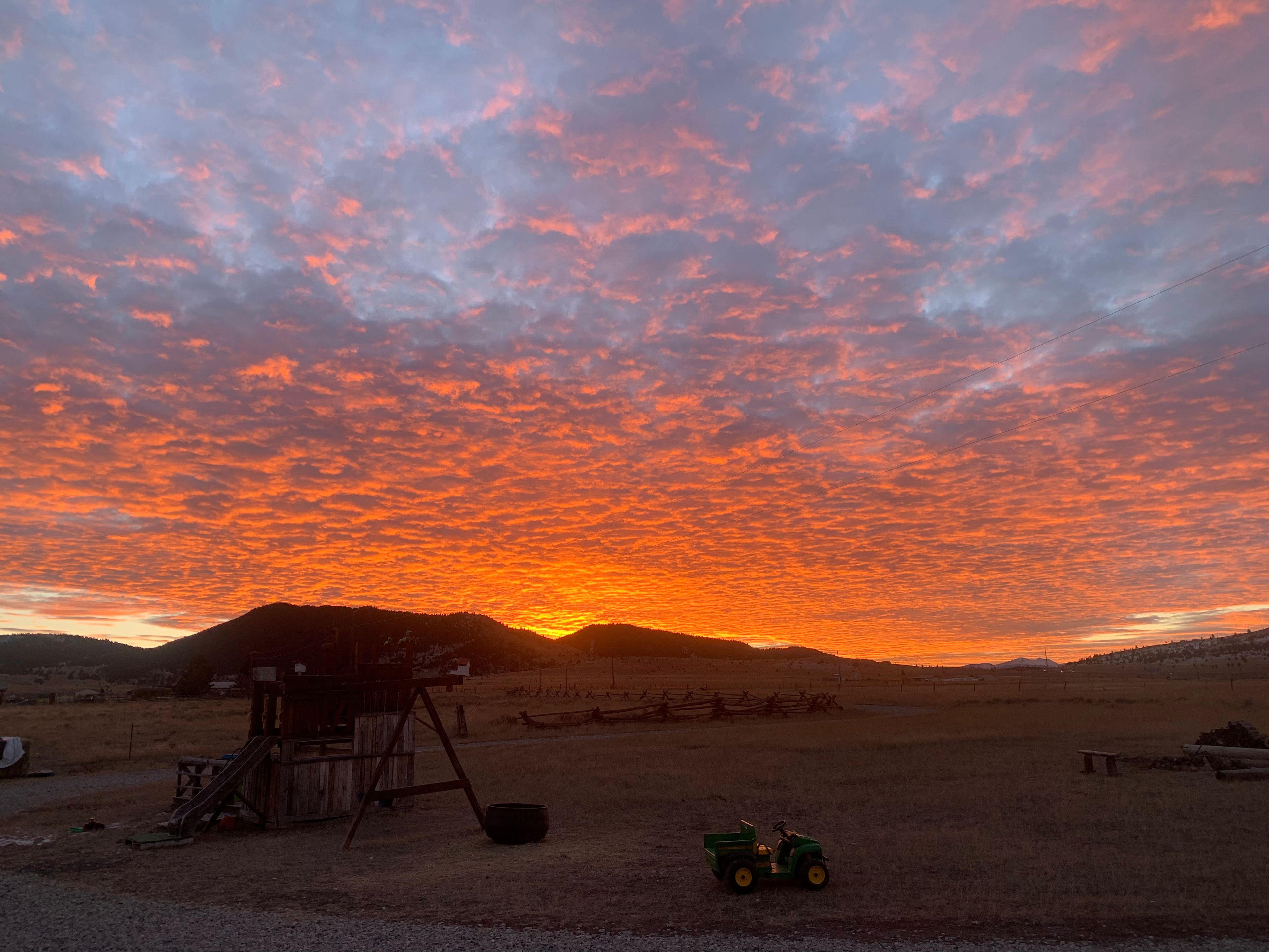 Long Dog Lodge Tent/car/van camping