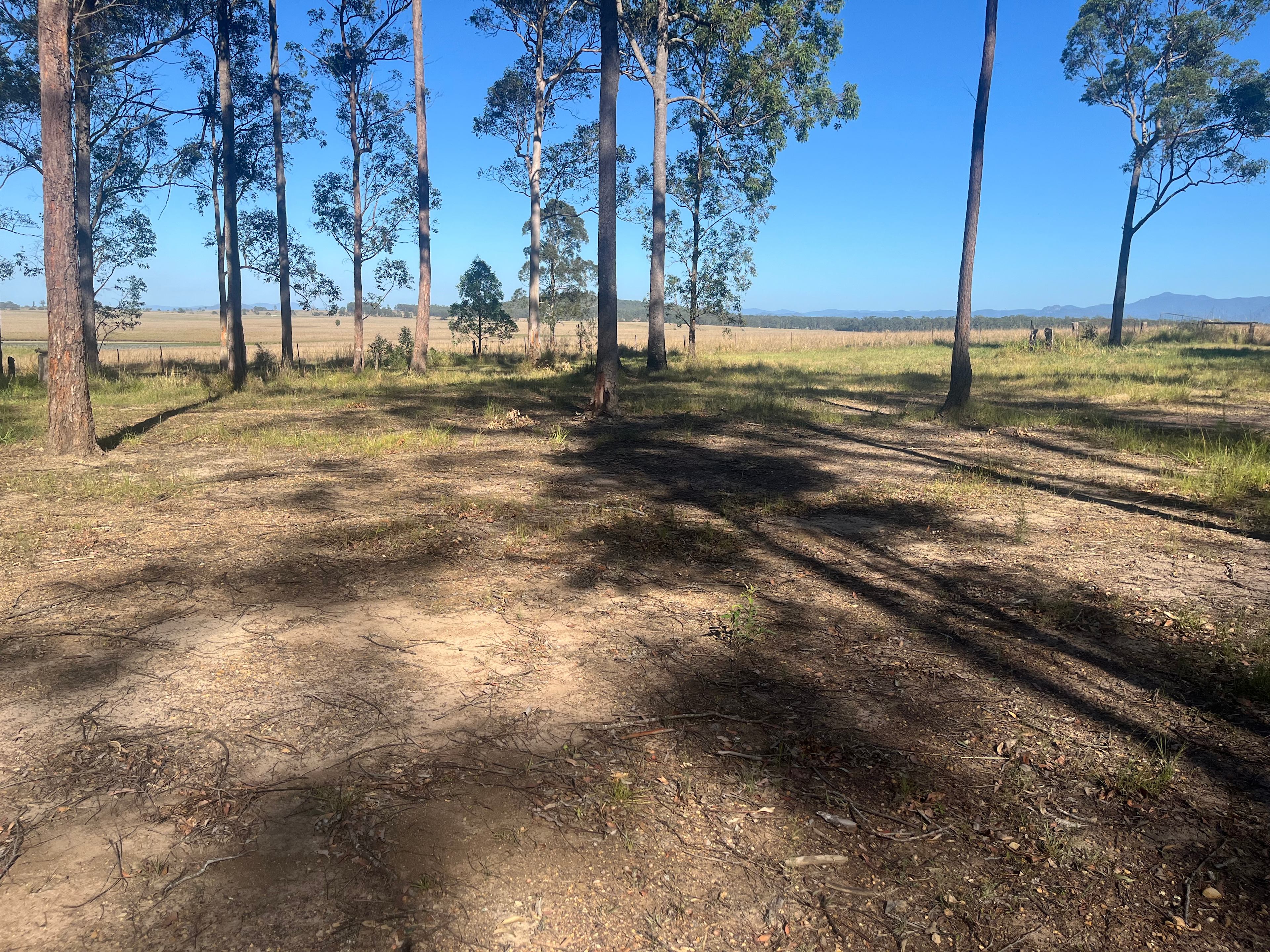 Marys Forest Retreat