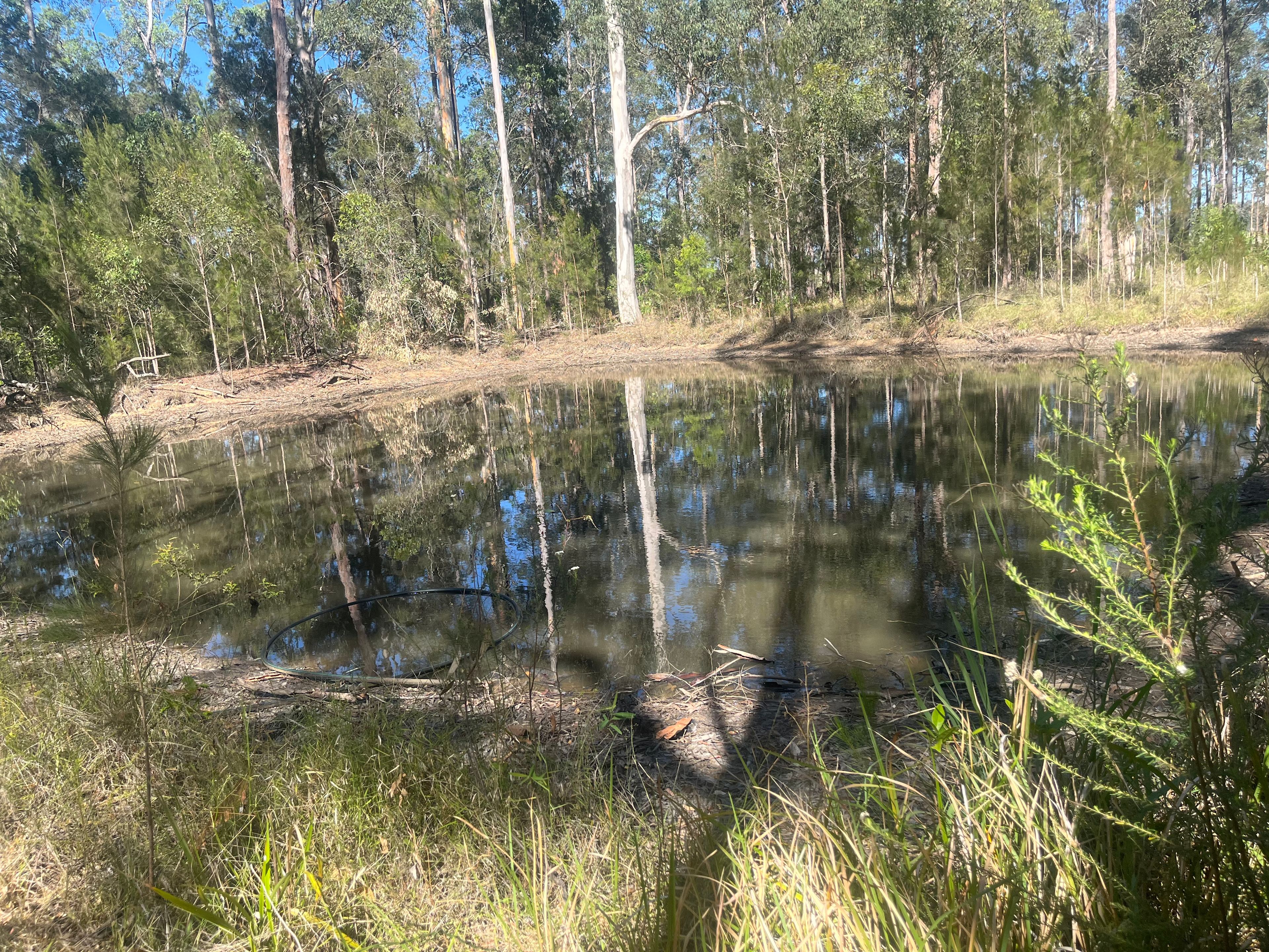 Marys Forest Retreat