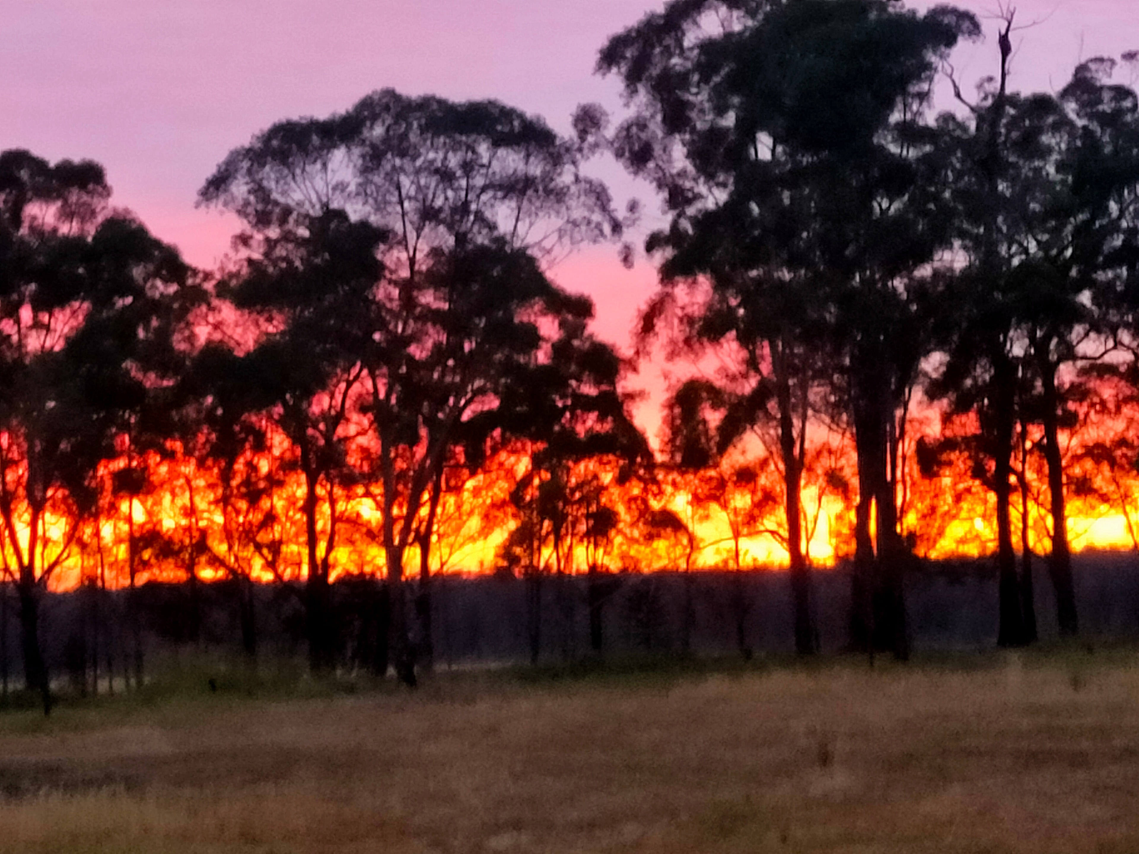 Marys Forest Retreat