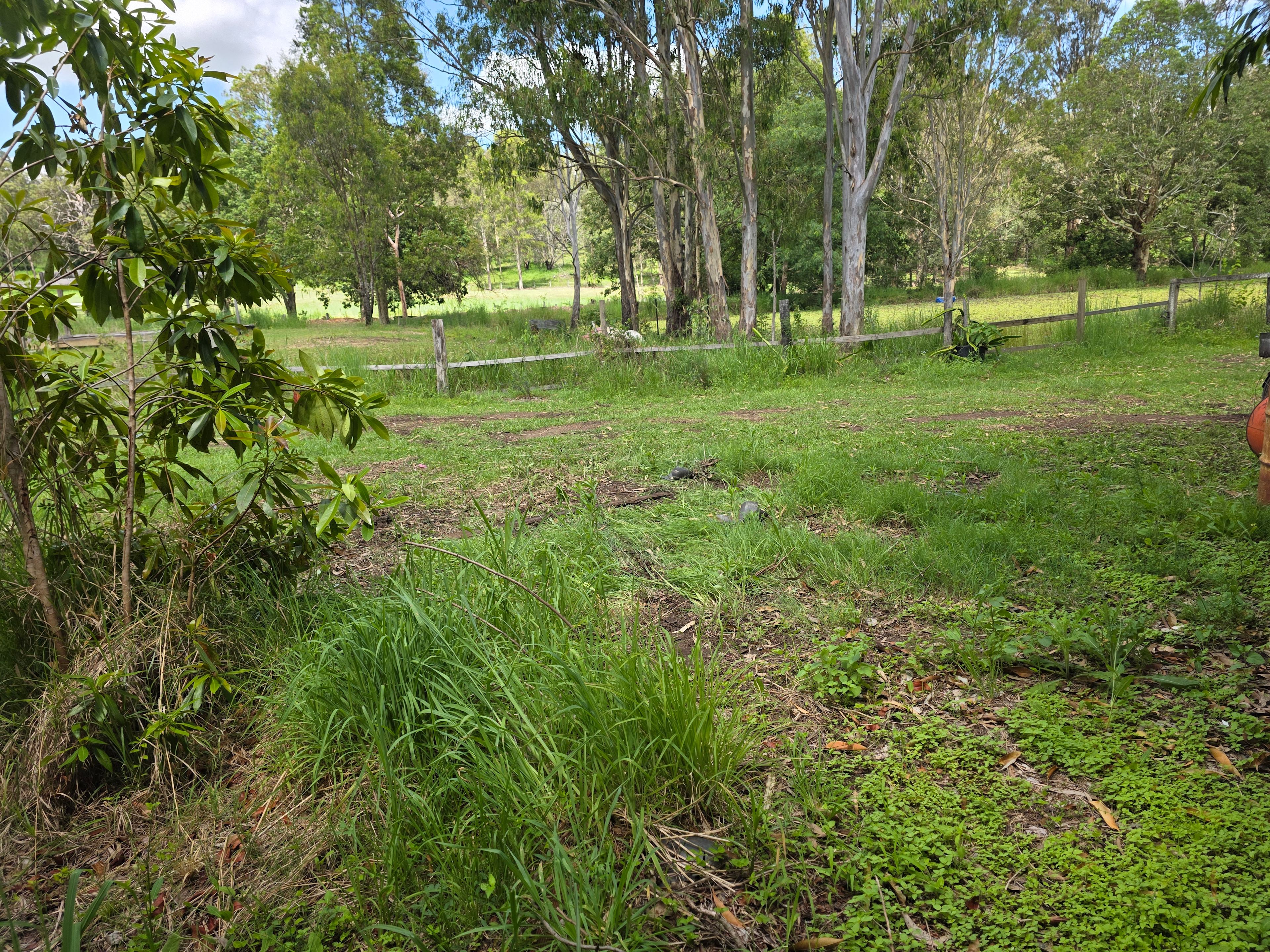 Relaxed Tamborine Village Farm Camp