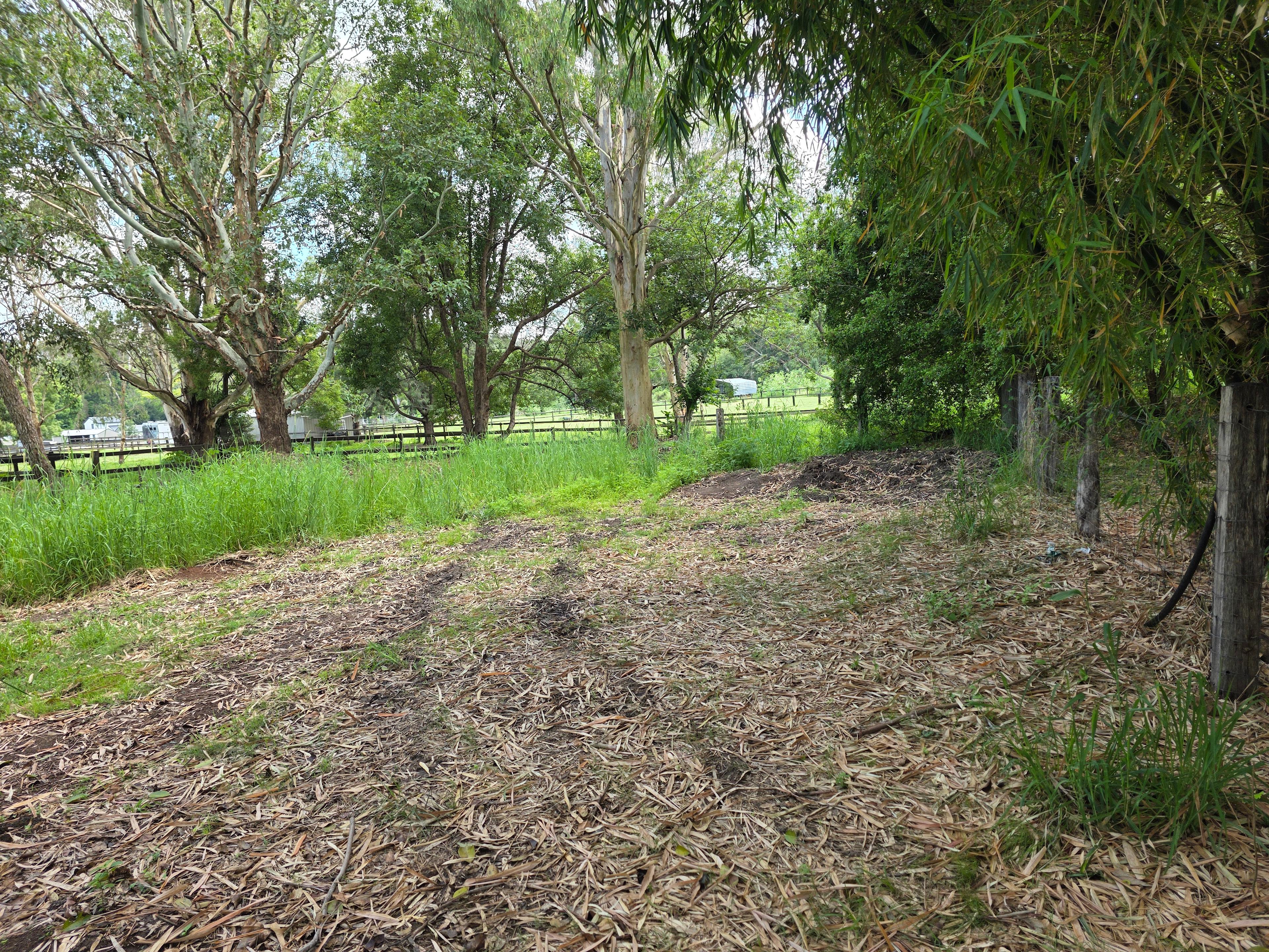 Relaxed Tamborine Village Farm Camp
