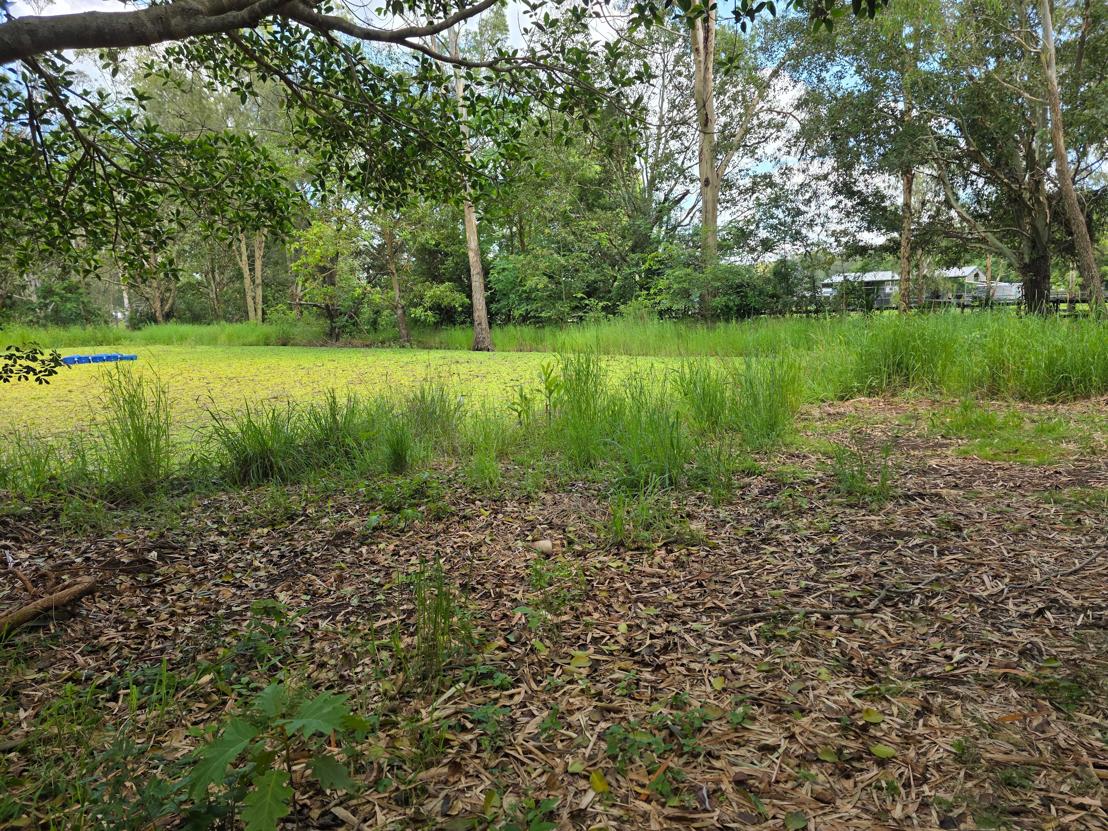 Relaxed Tamborine Village Farm Camp