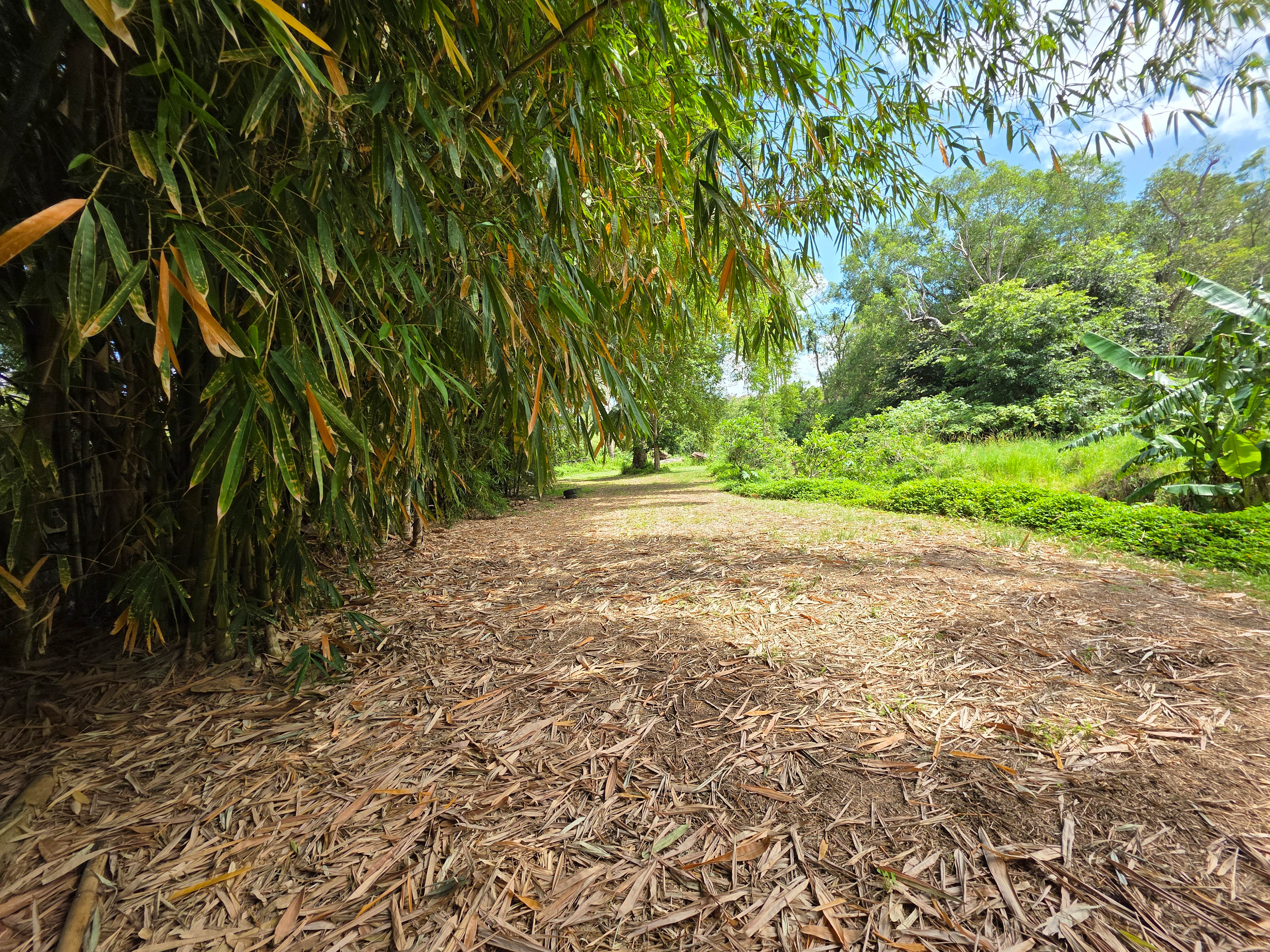 Relaxed Tamborine Village Farm Camp