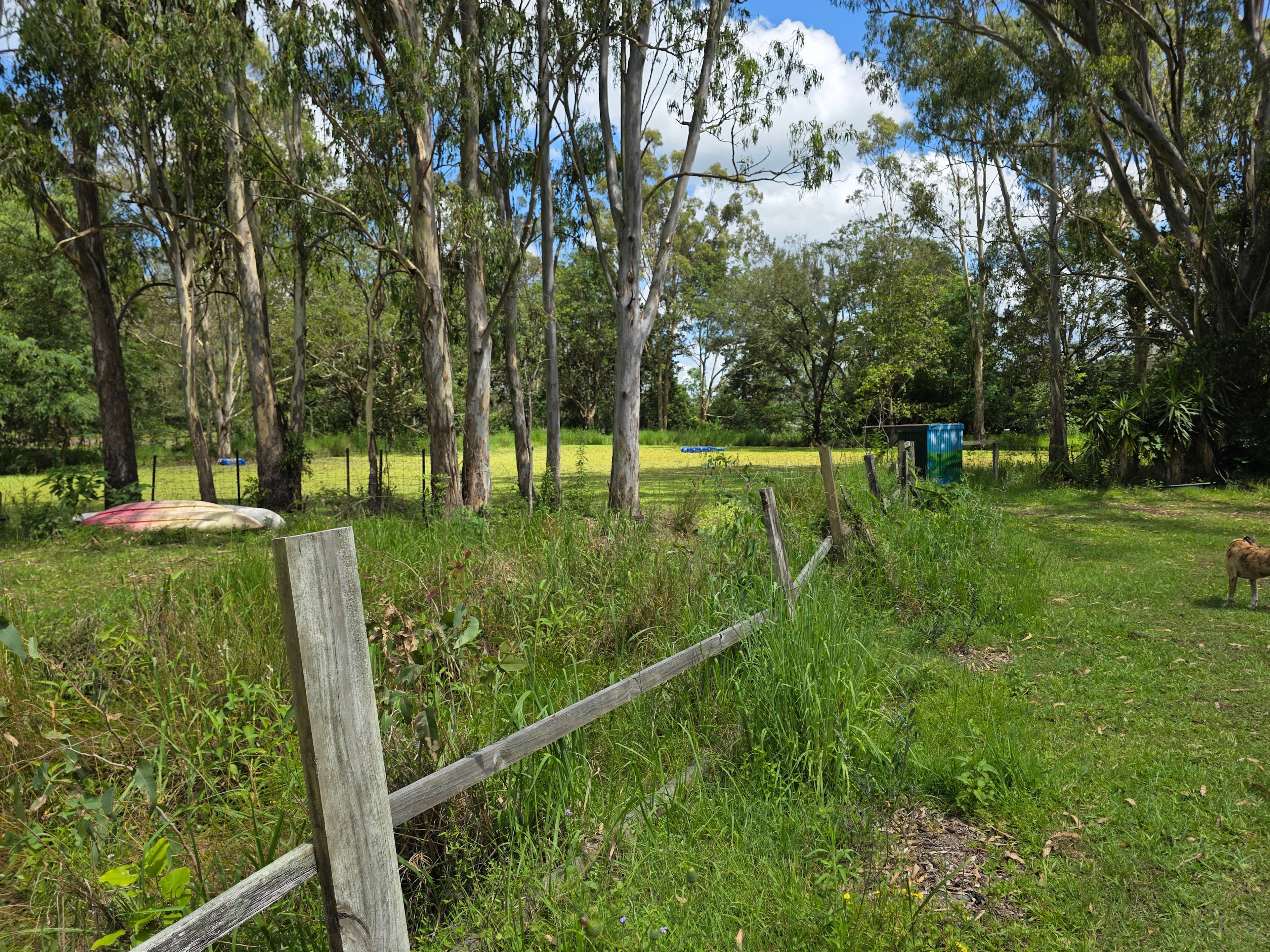 Relaxed Tamborine Village Farm Camp