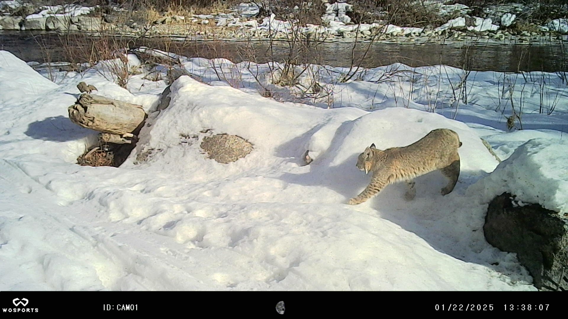 BDR / Overland River Camps