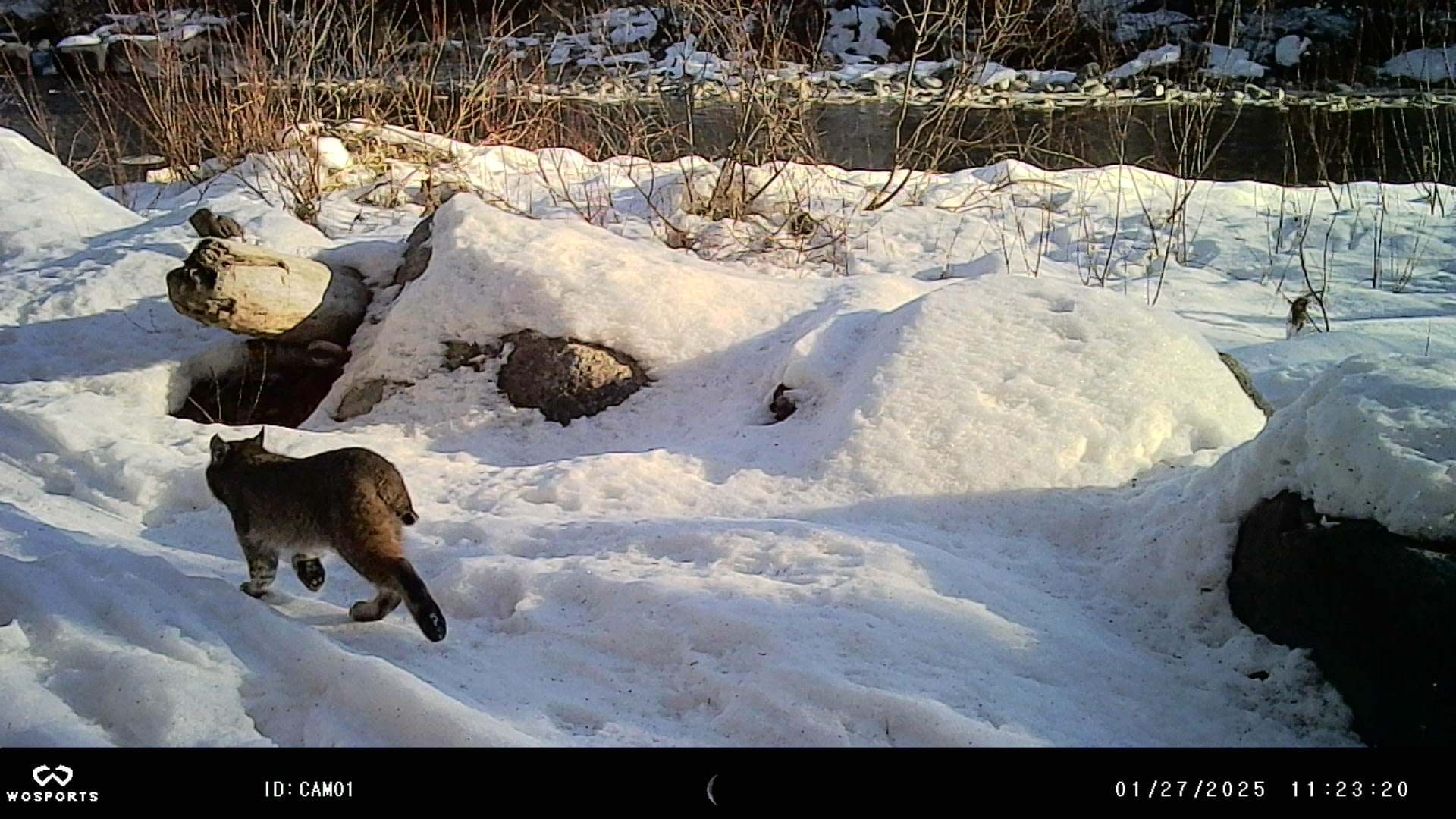 BDR / Overland River Camps