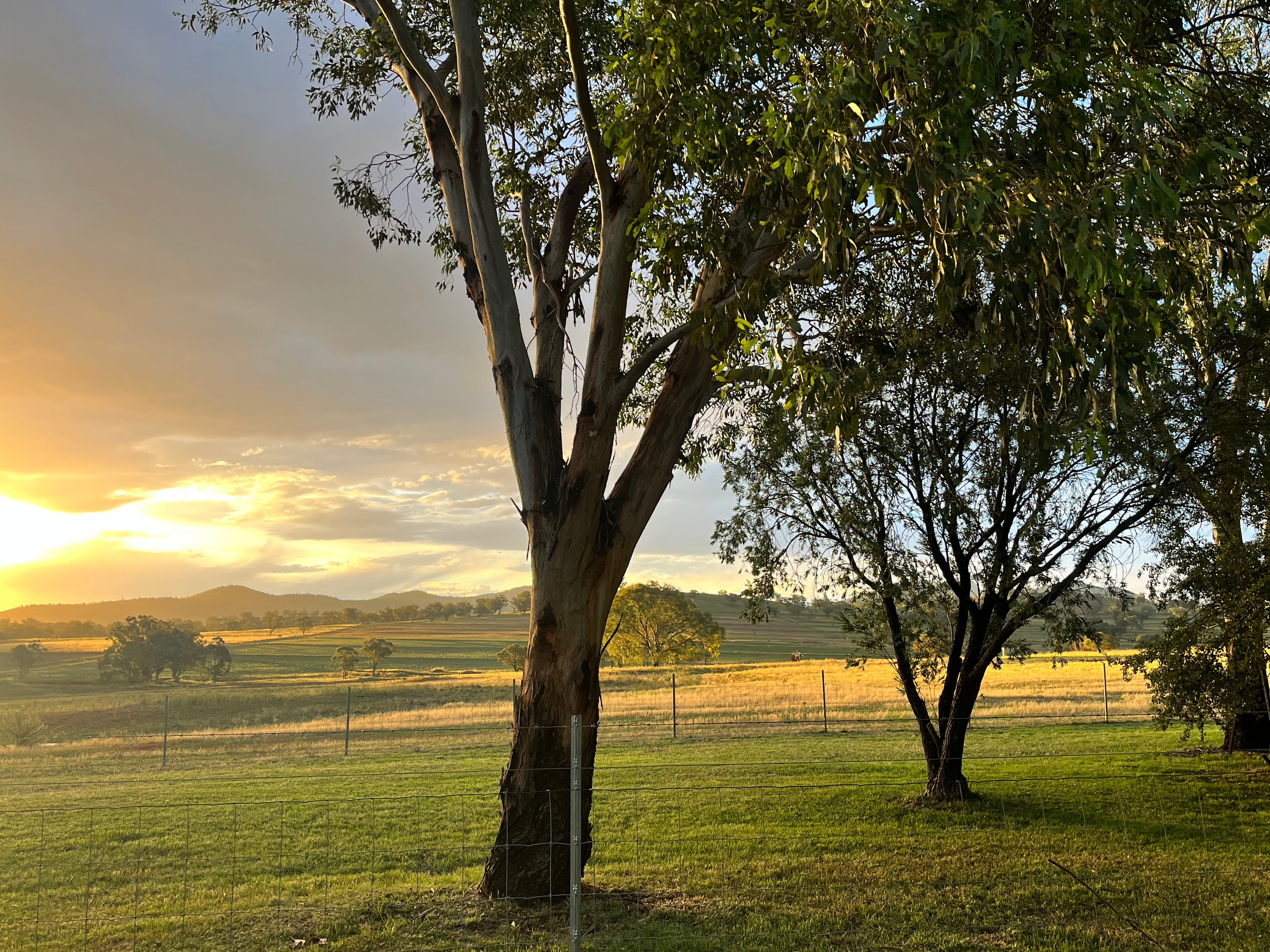 Ridleys Farm Stay