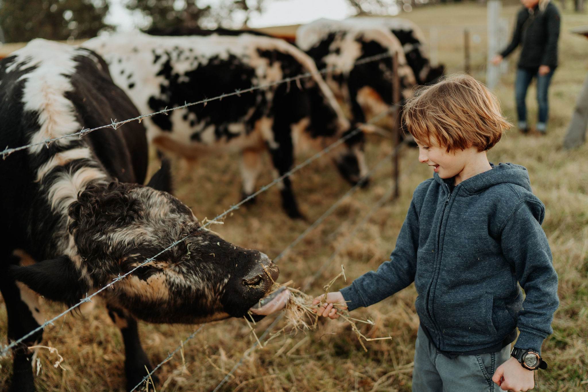 Anchorage Farm Narooma