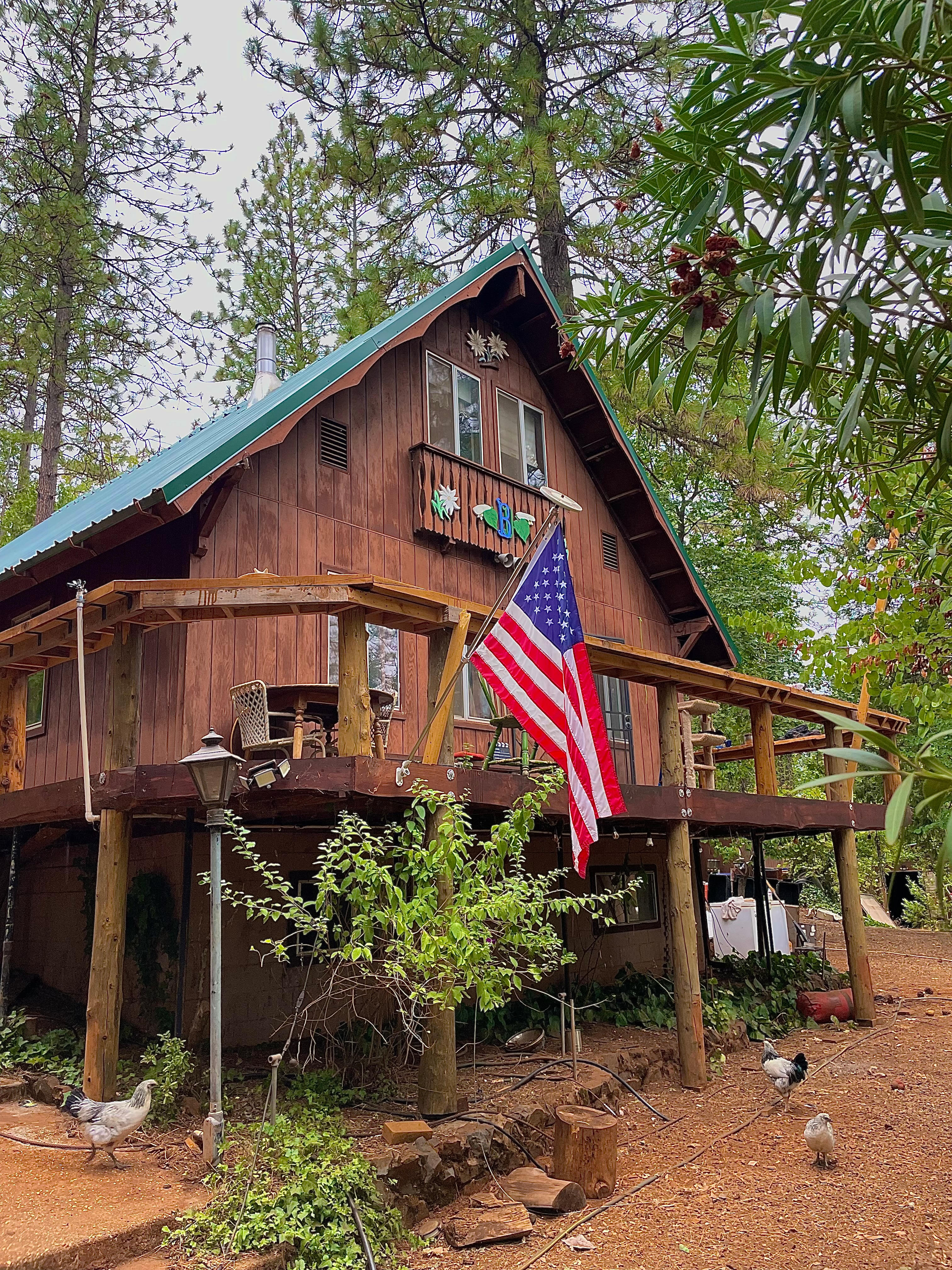 Off-Grid Mtn Getaway in the Pines