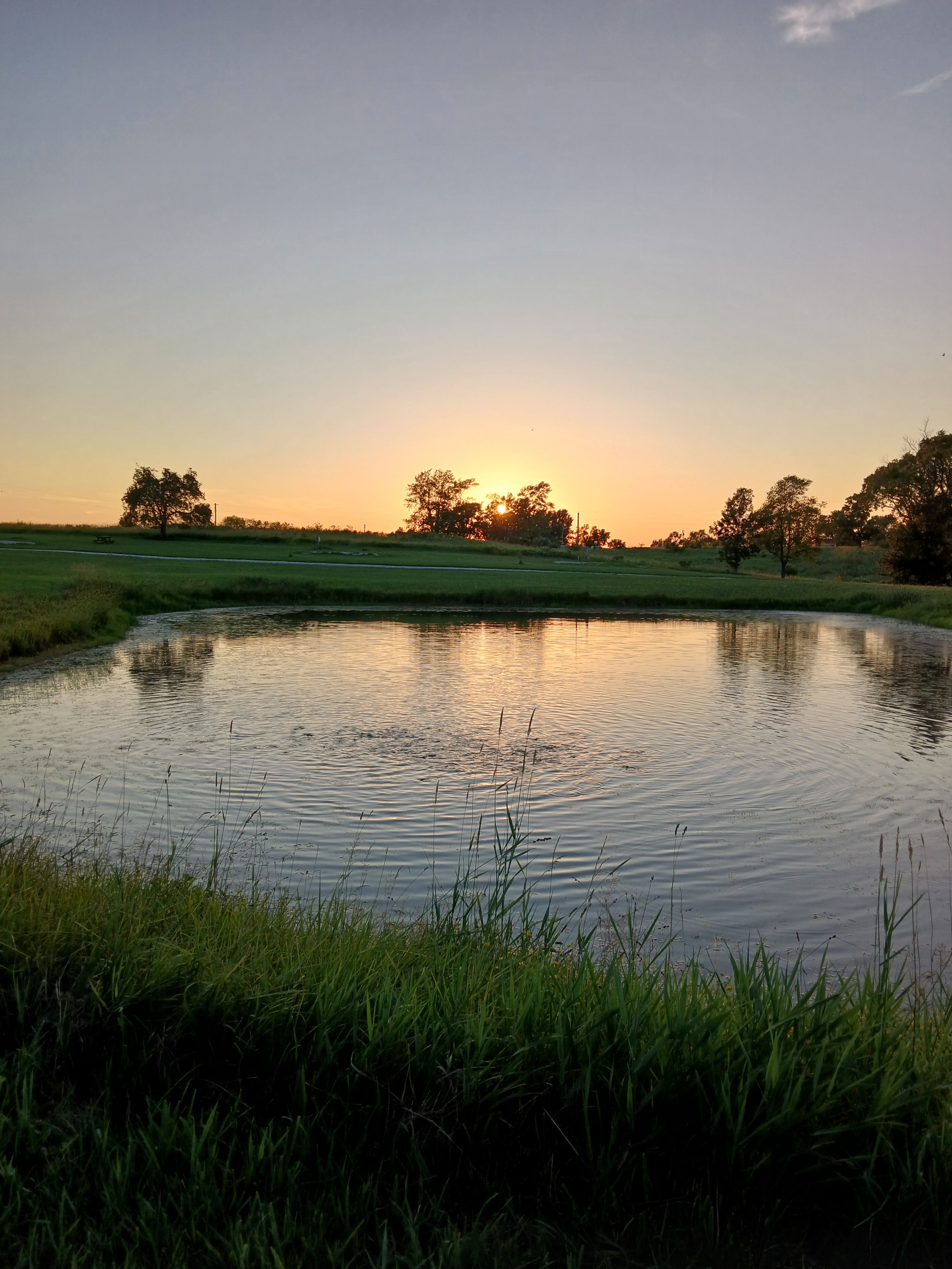 Site 3 is the last site of the three sites west of the pond (right site in this photo).
