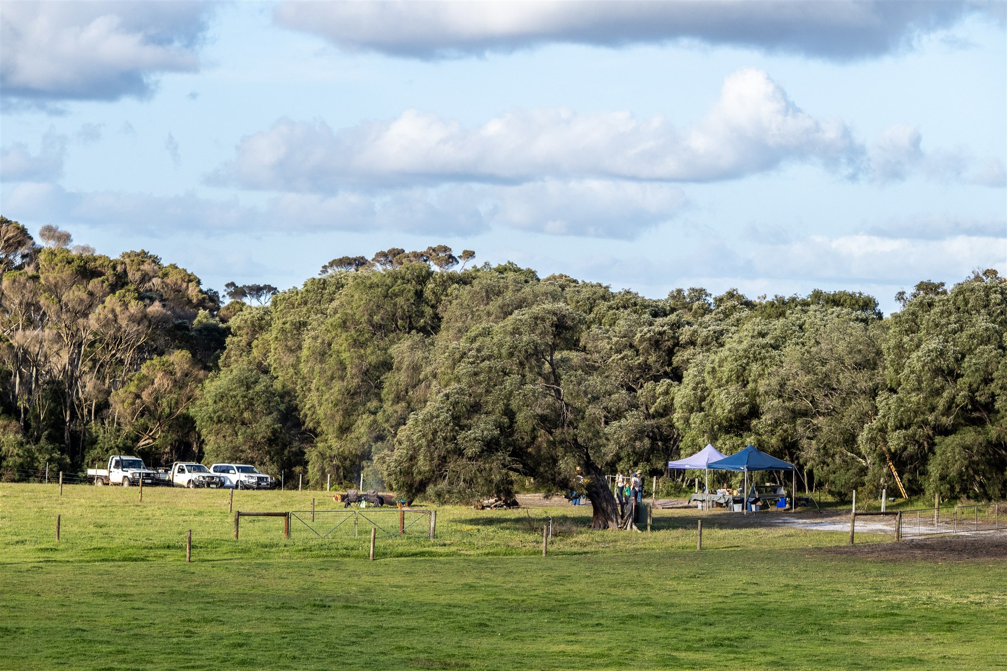Dunmore Homestead Farmstay