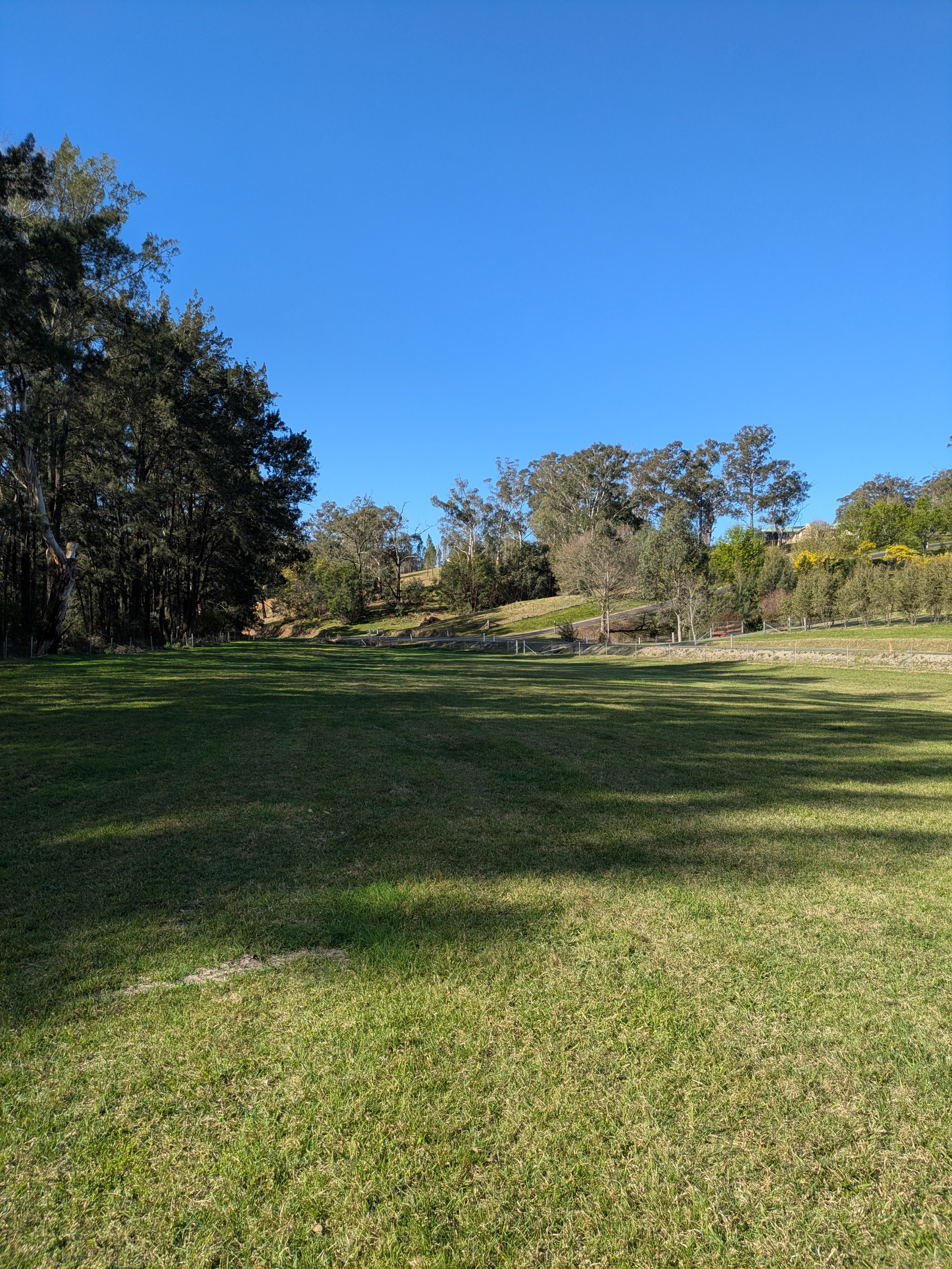 Beautiful shade under the trees 