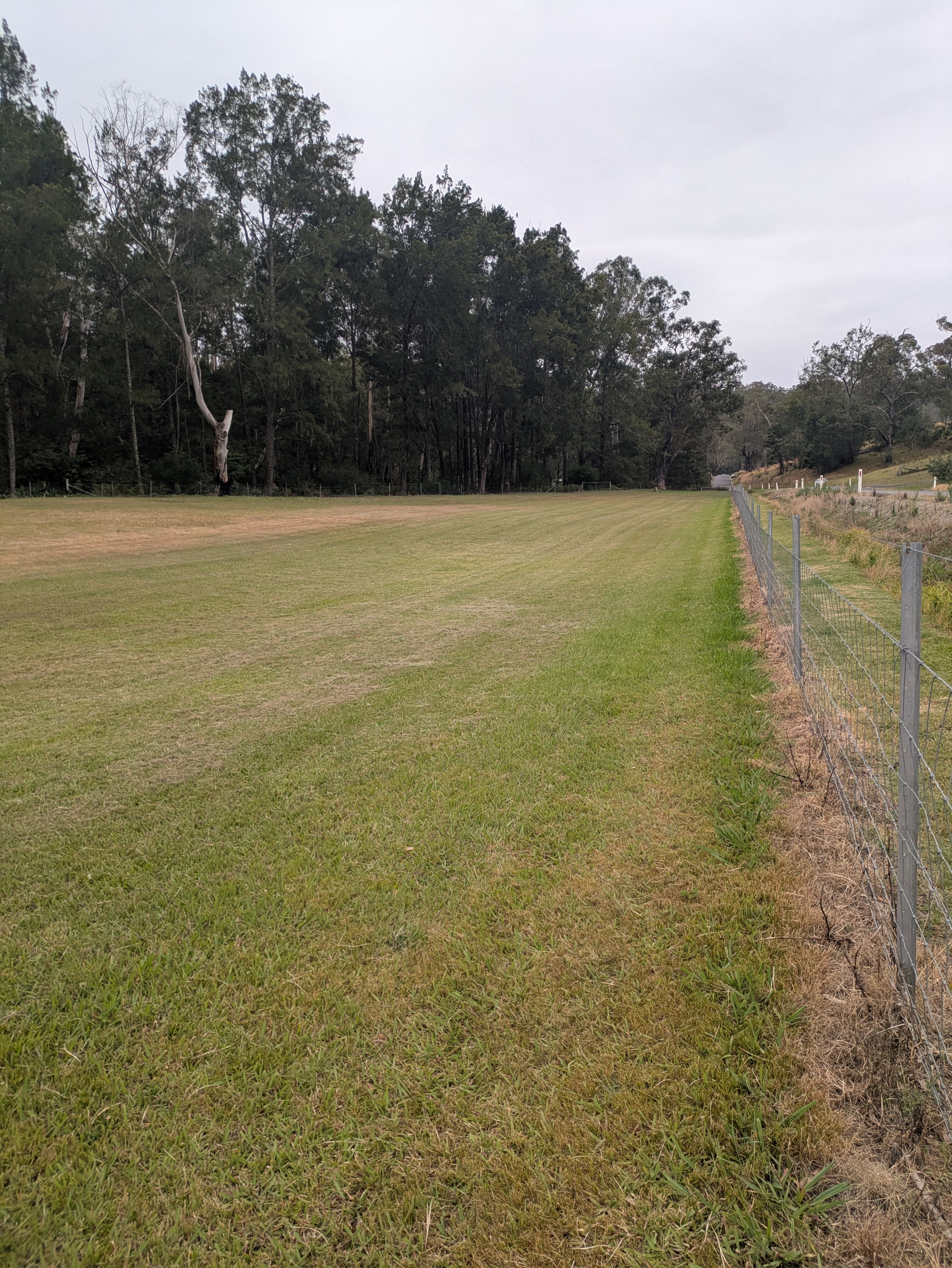 Banjo's Paddock by the creek.