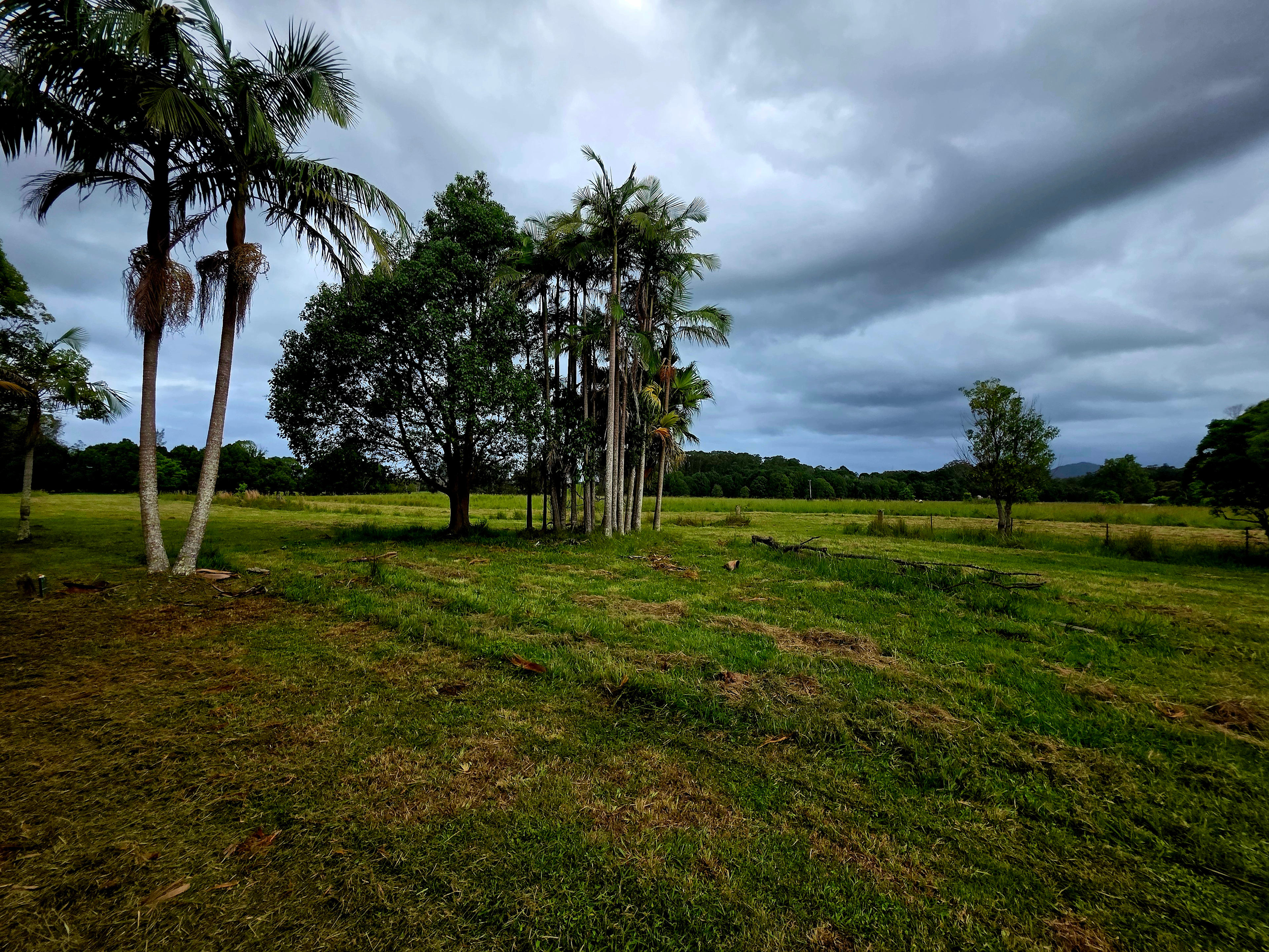 Taking It Easy Acres